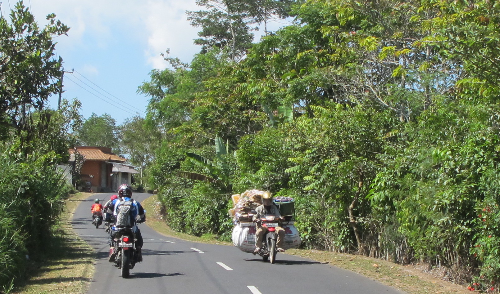 Wide load on one of Bali's backroads