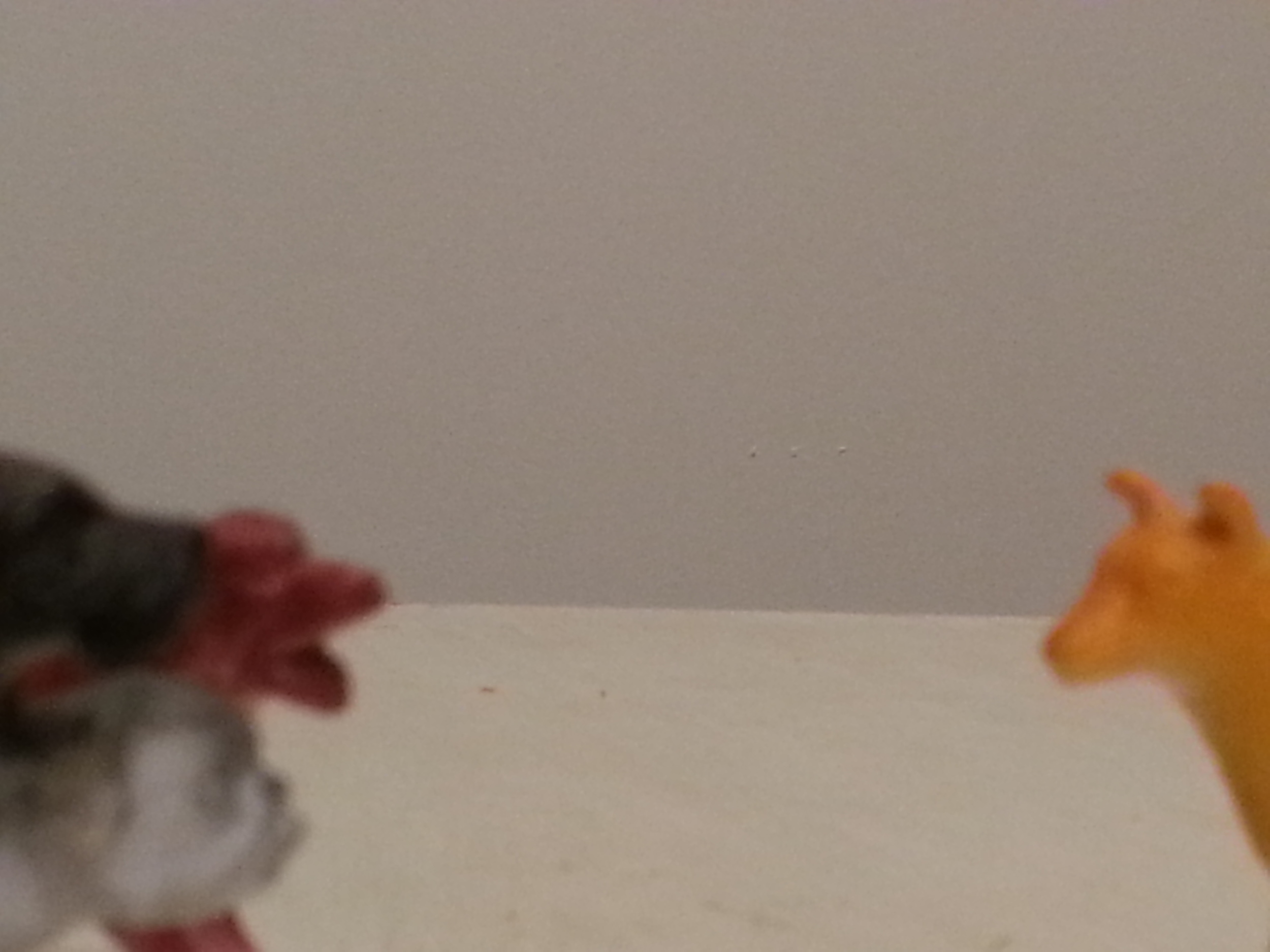20131114_001602.jpg