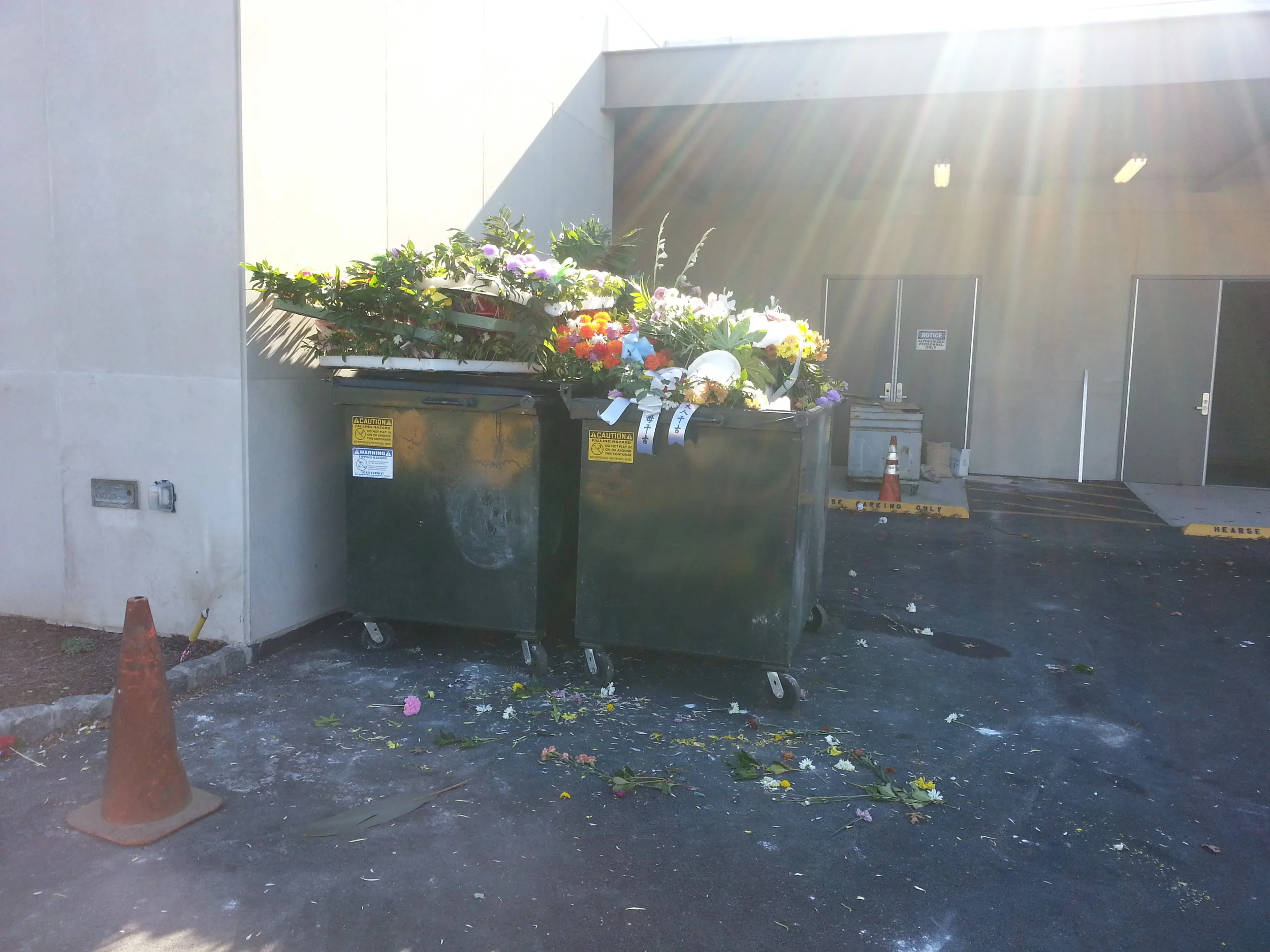 20131020_140905.jpg