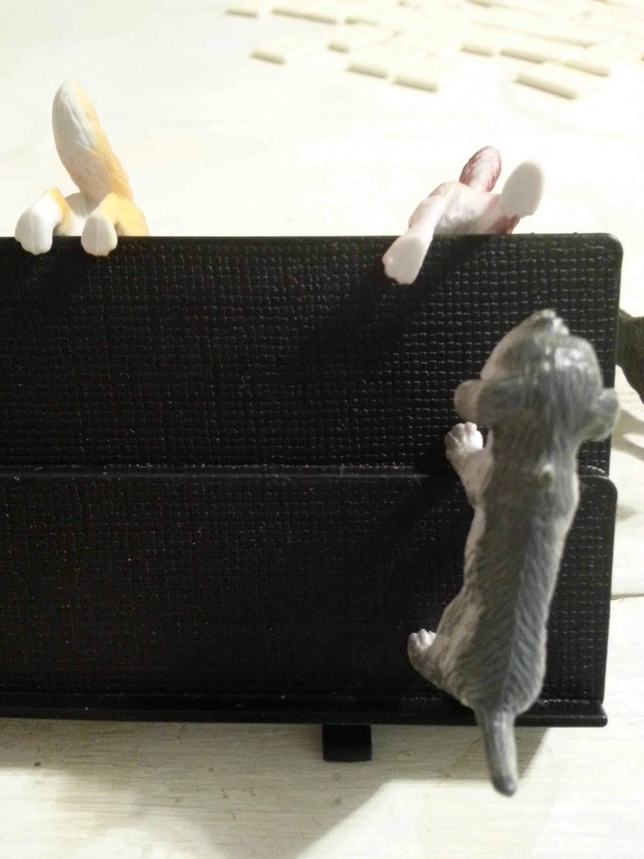 20131113_171702.jpg