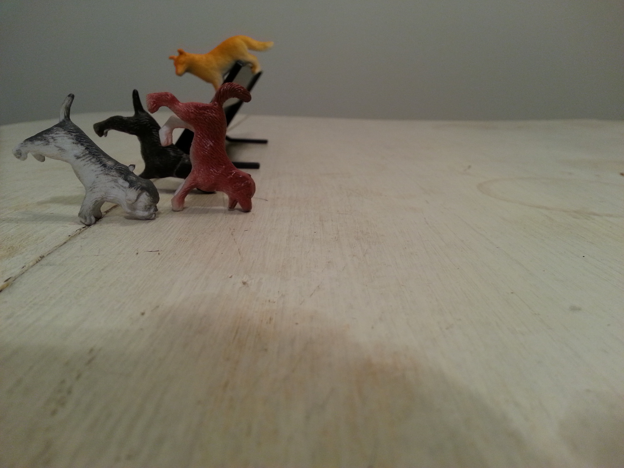 20131113_172312.jpg