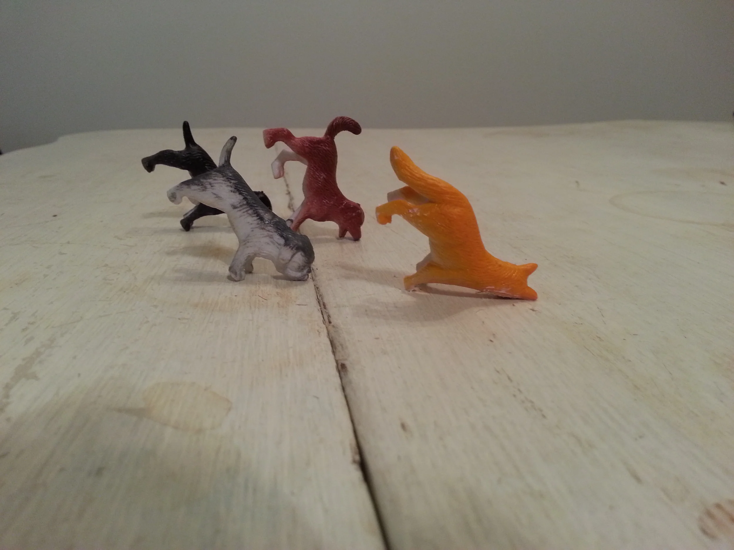 20131113_172932.jpg