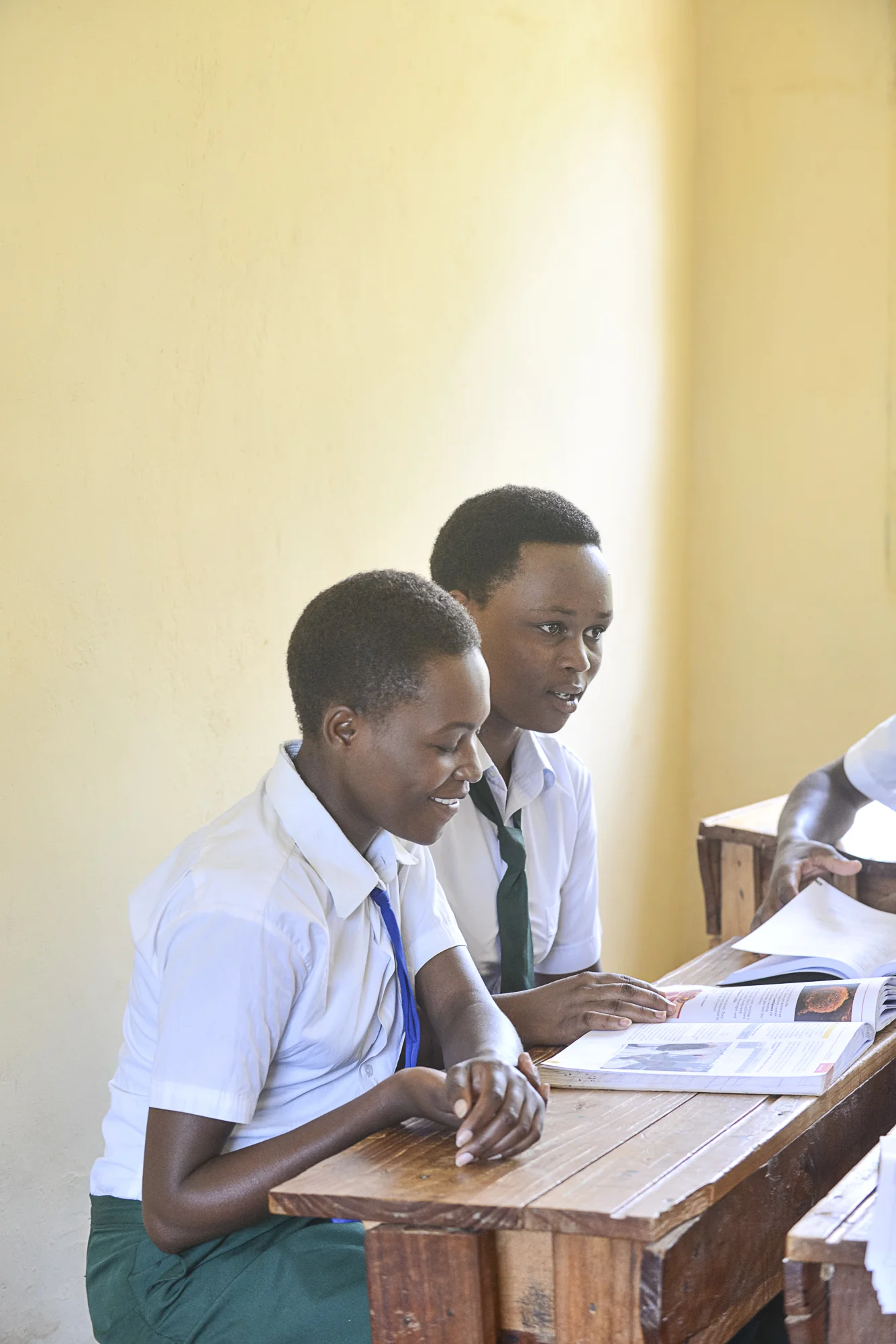 Randazzo_F1StudyandWin_20141013_00308.jpg