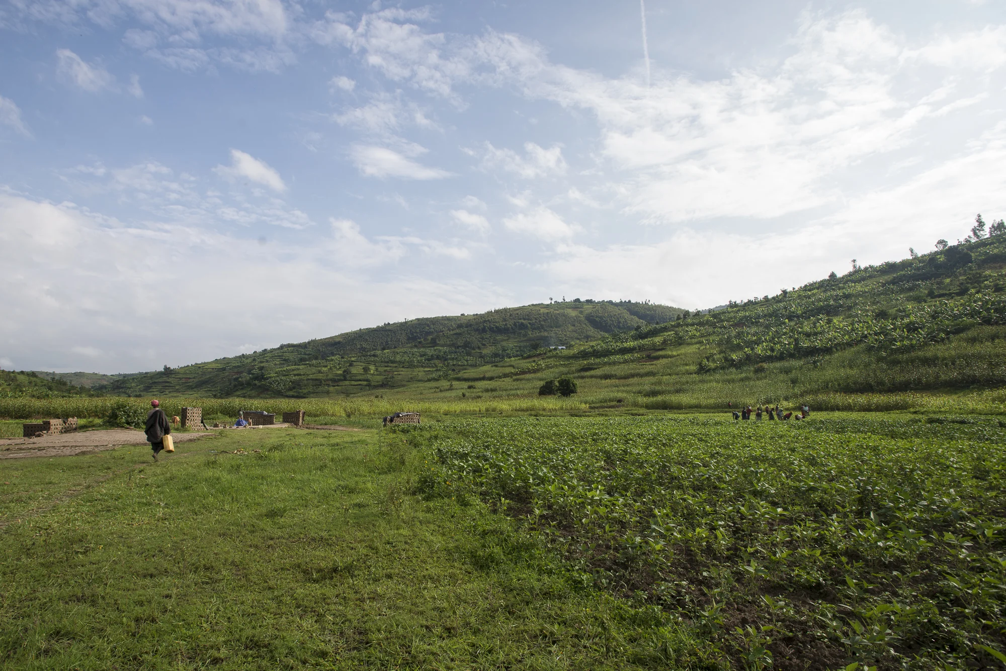 Randazzo_AspireRutunga_20150519_00914.jpg