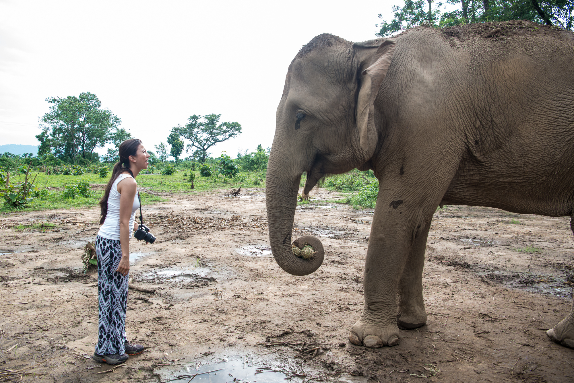 Randazzo_Chitwan_20160702_00076.jpg