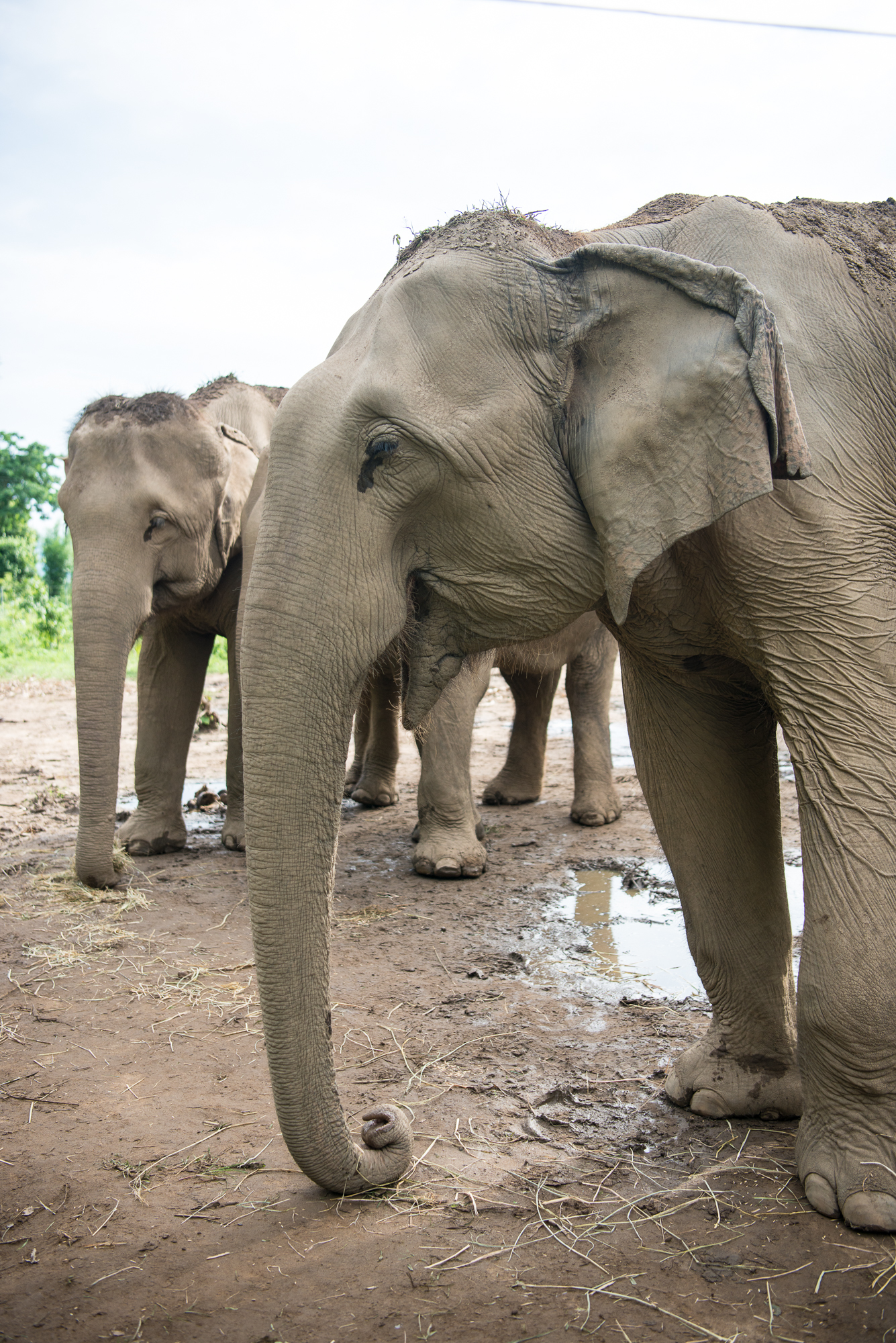 Randazzo_Chitwan_20160702_00133.jpg