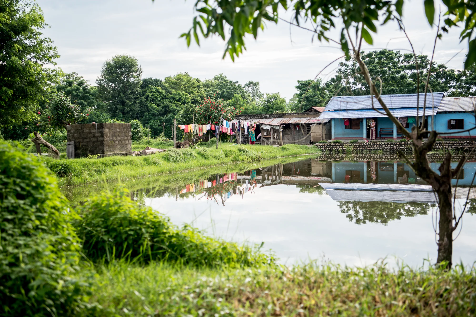 Randazzo_Chitwan_20160702_00149-2.jpg