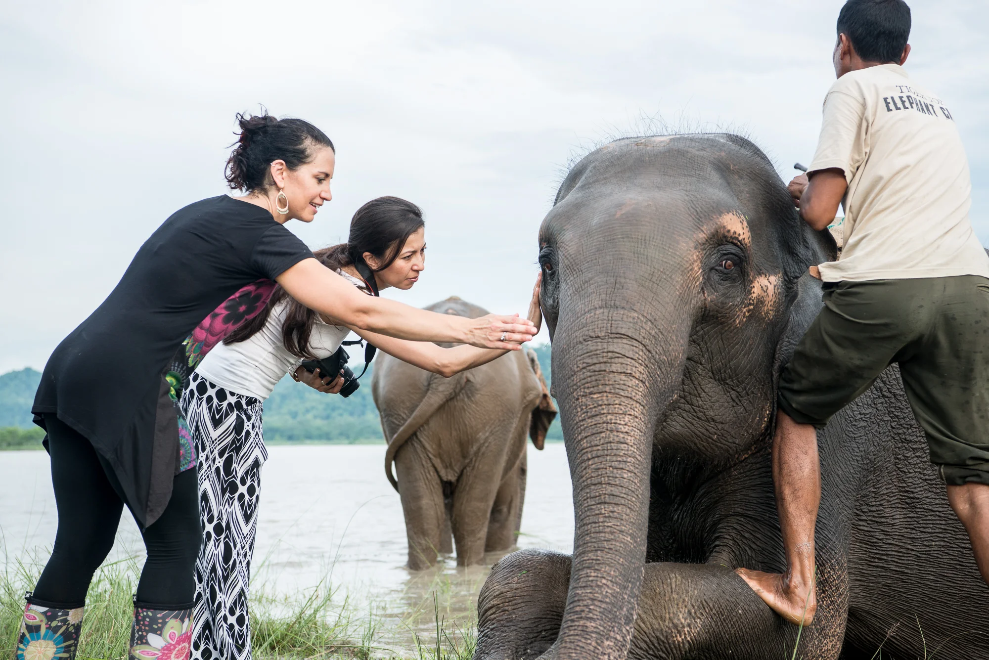 Randazzo_Chitwan_20160702_00250.jpg