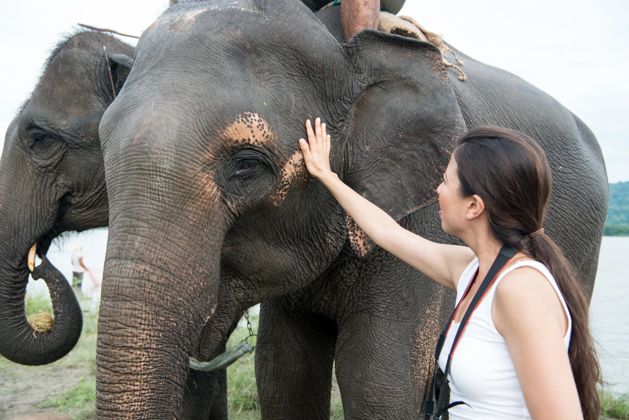 Randazzo_Chitwan_20160702_00278.jpg