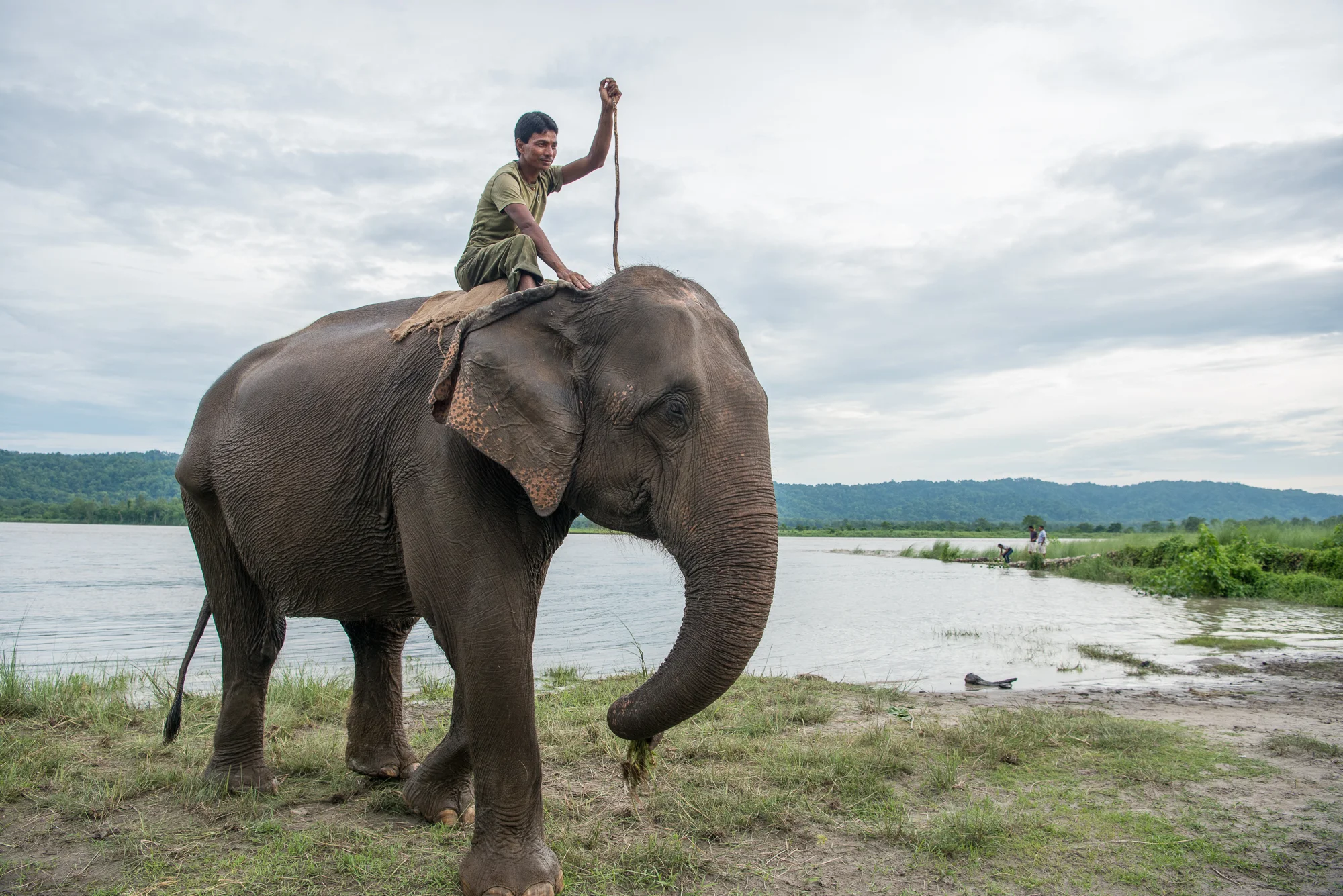 Randazzo_Chitwan_20160702_00354.jpg