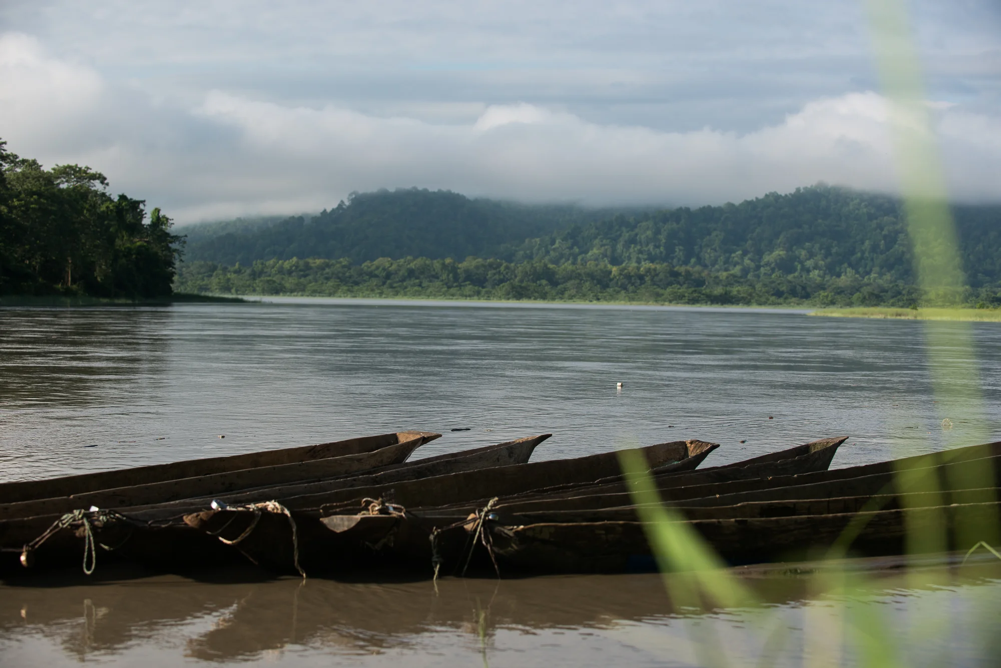 Randazzo_Chitwan_20160703_00365.jpg