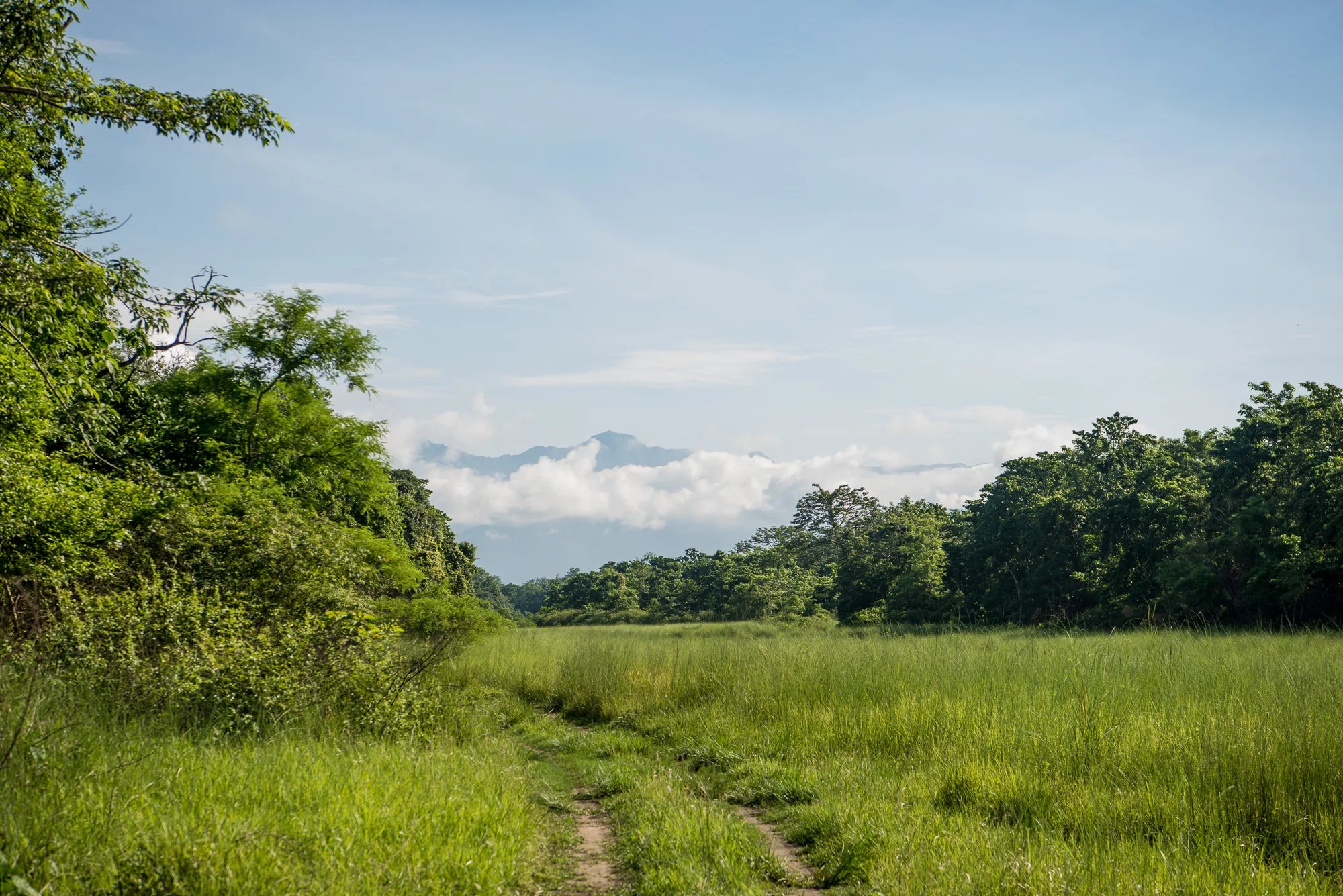 Randazzo_Chitwan_20160703_00488.jpg