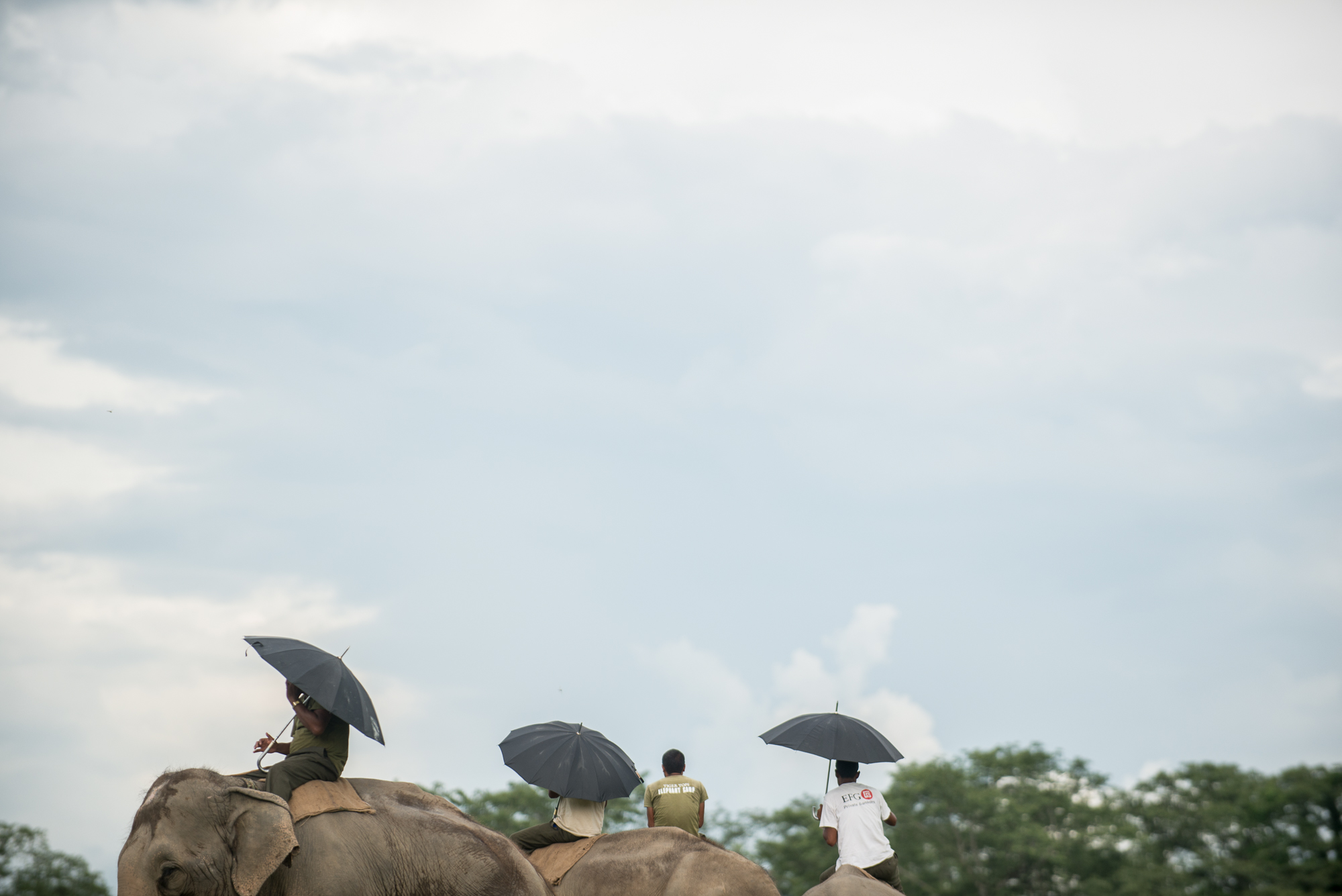 Randazzo_Chitwan_20160703_00652.jpg
