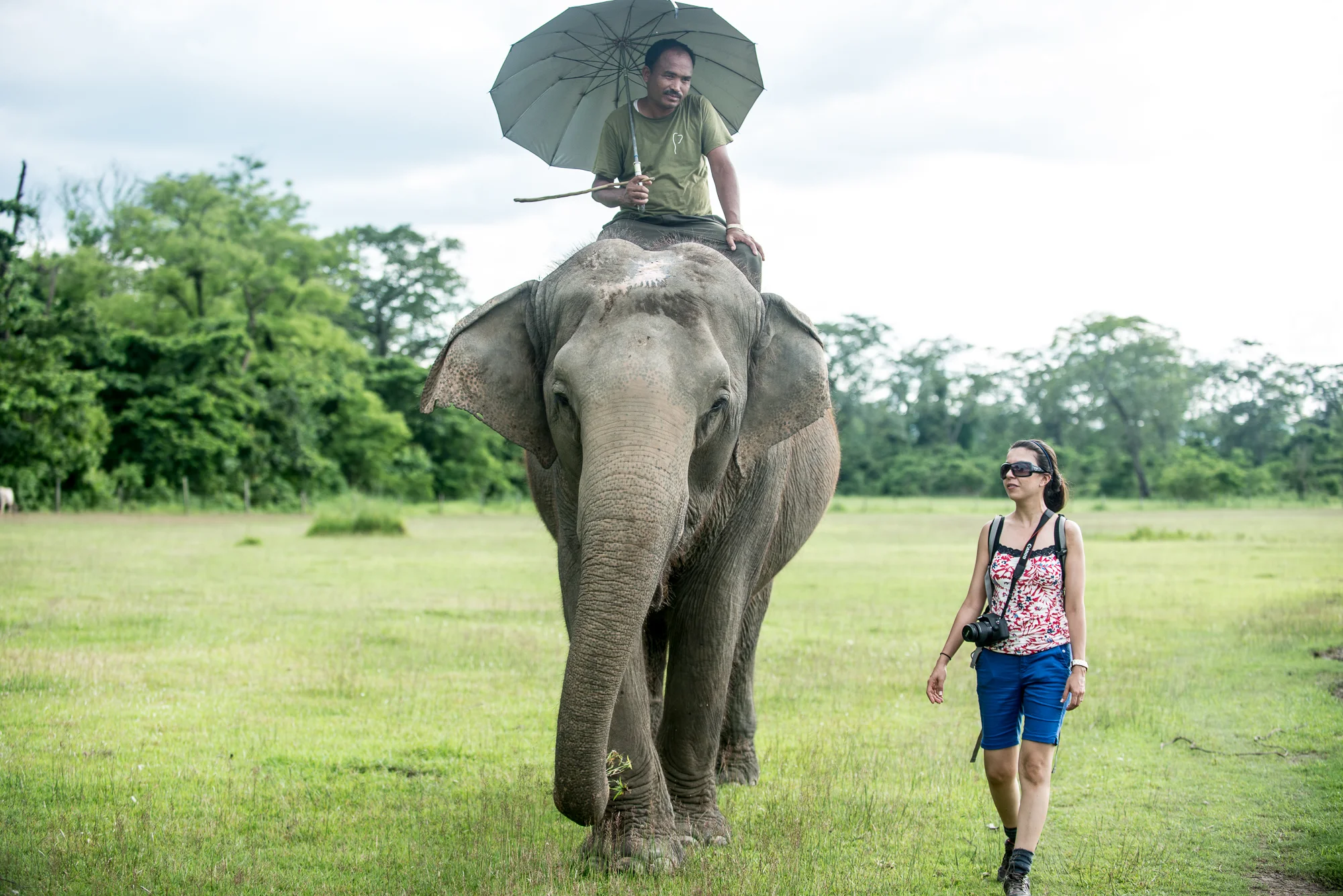 Randazzo_Chitwan_20160703_00707.jpg