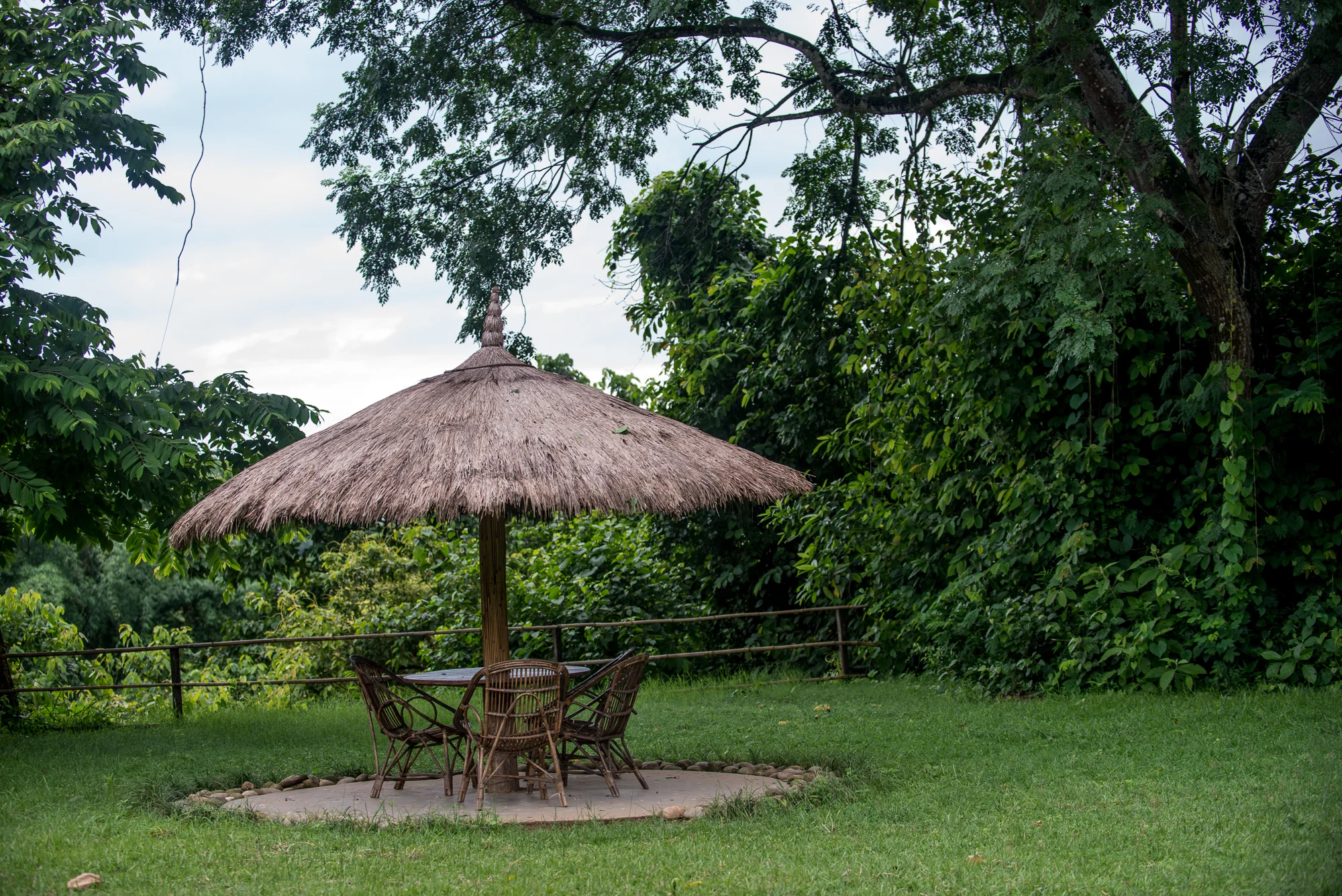 Randazzo_Chitwan_20160704_00928.jpg