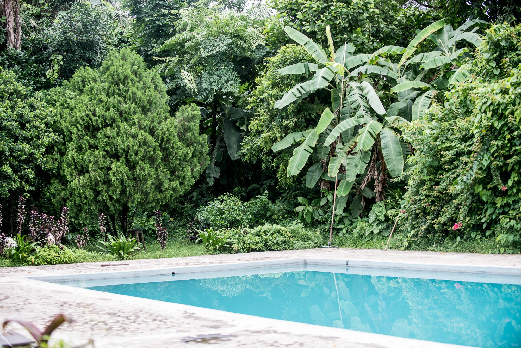 Randazzo_Chitwan_20160704_00929.jpg