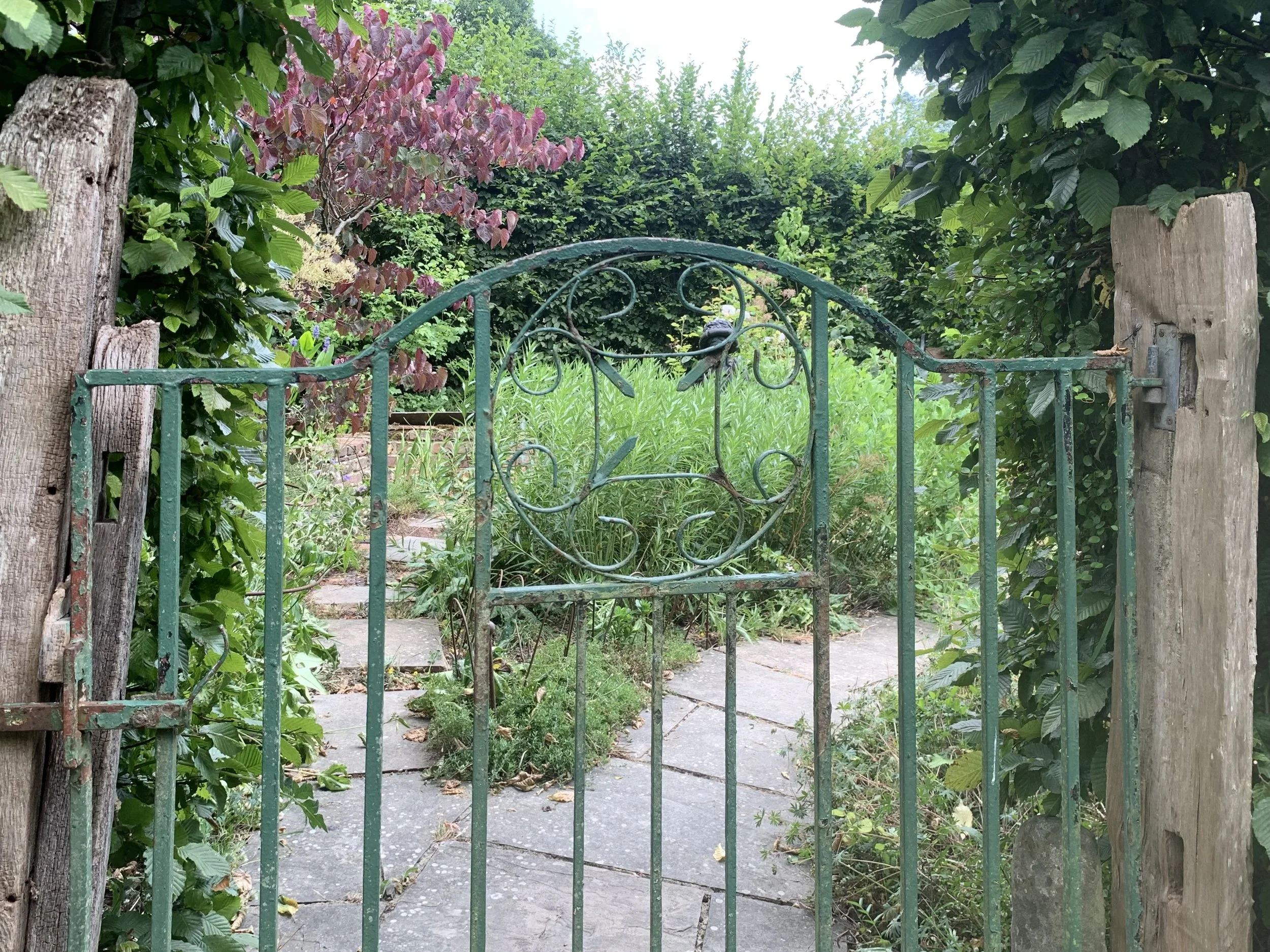 Through the Garden Gate