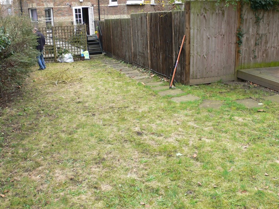 Fellows Before:1.jpg