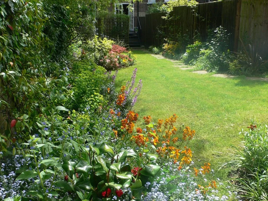 Fellows after 3 months:1.jpg