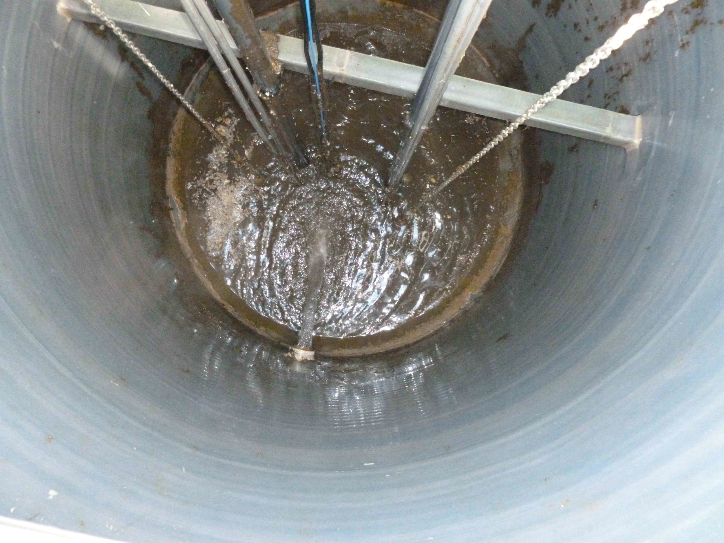 PSEketahunsCleanedLR.jpg
