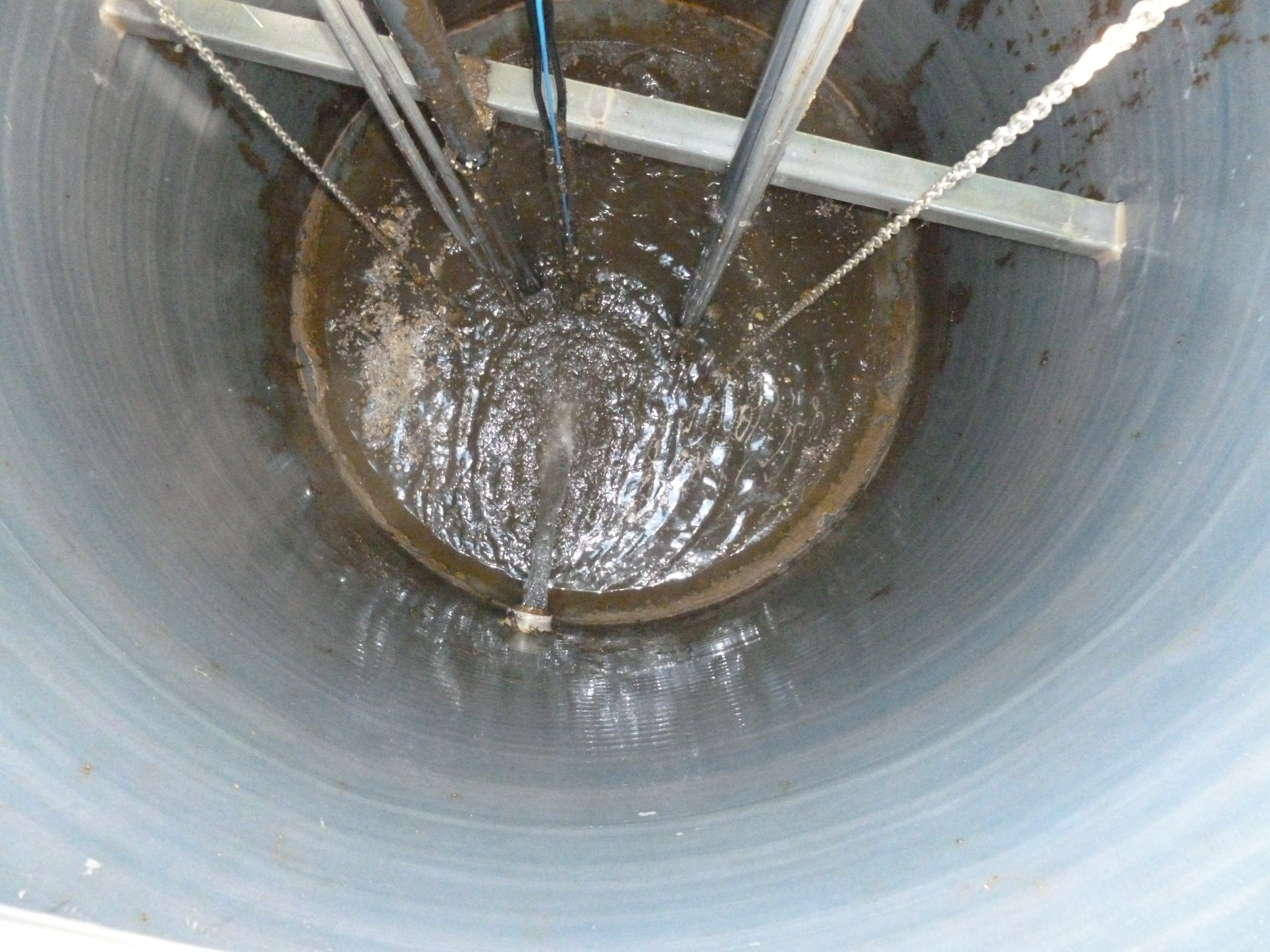 PSEketahunsCleaned.JPG