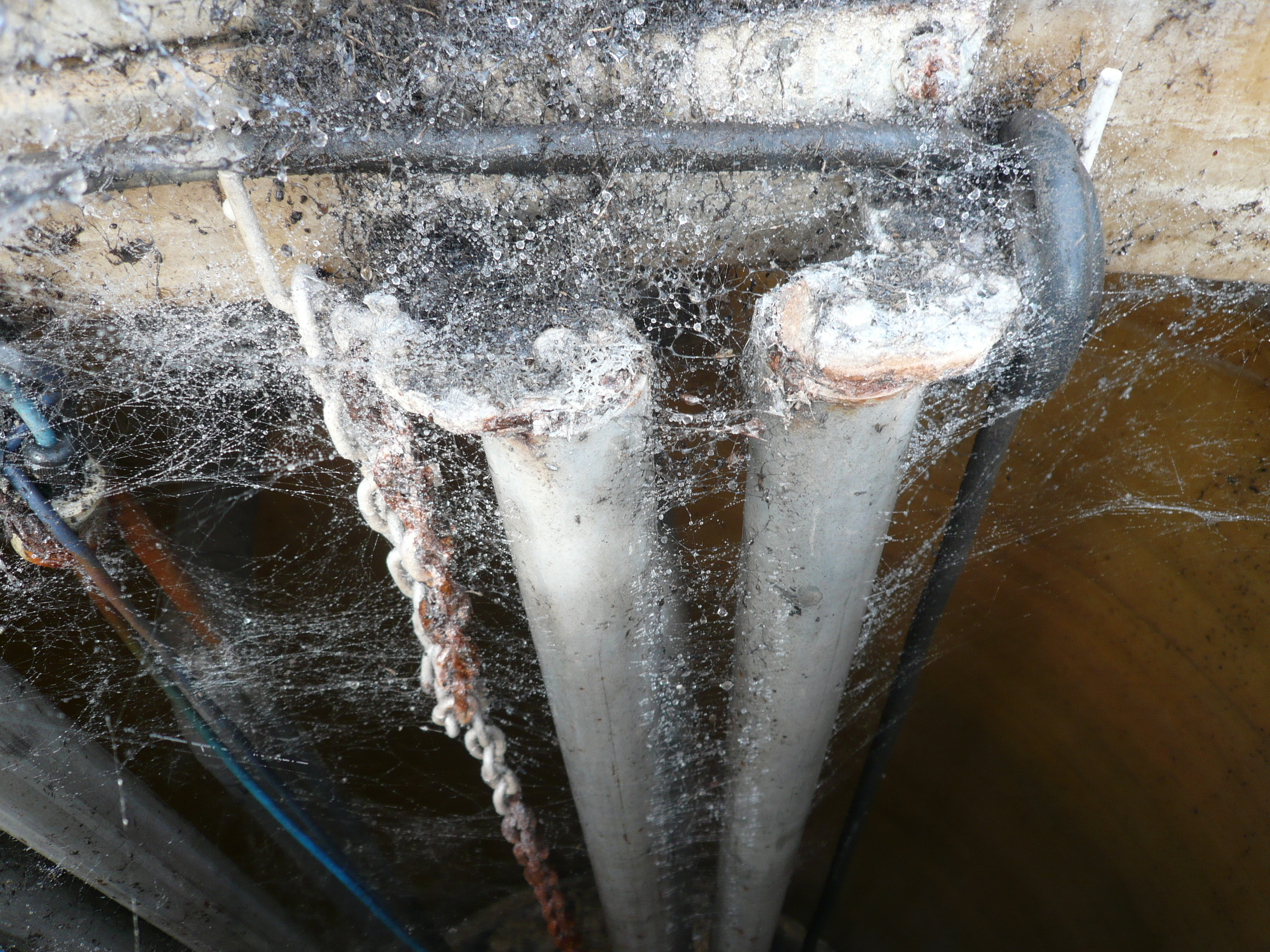 PSHawkesBayDetail.JPG