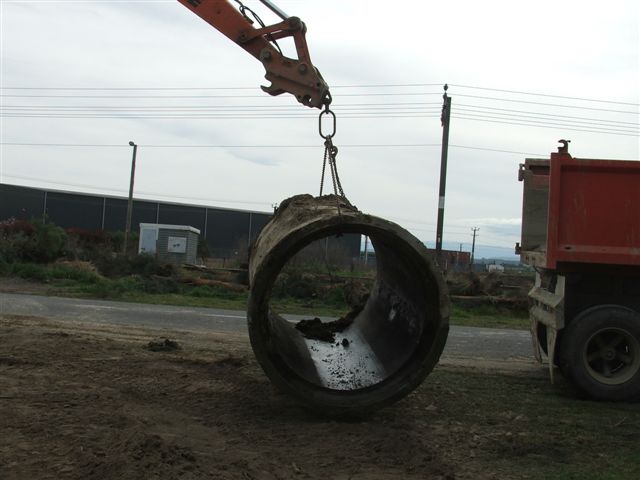 work 006.jpg