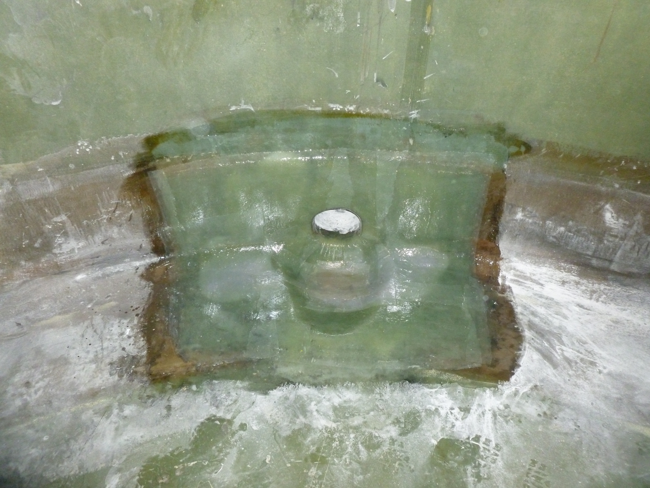 P1000859.JPG