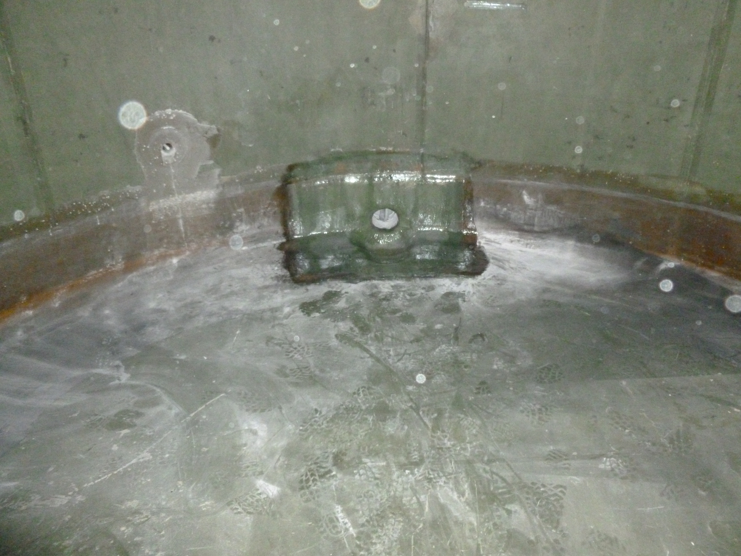 P1000861.JPG