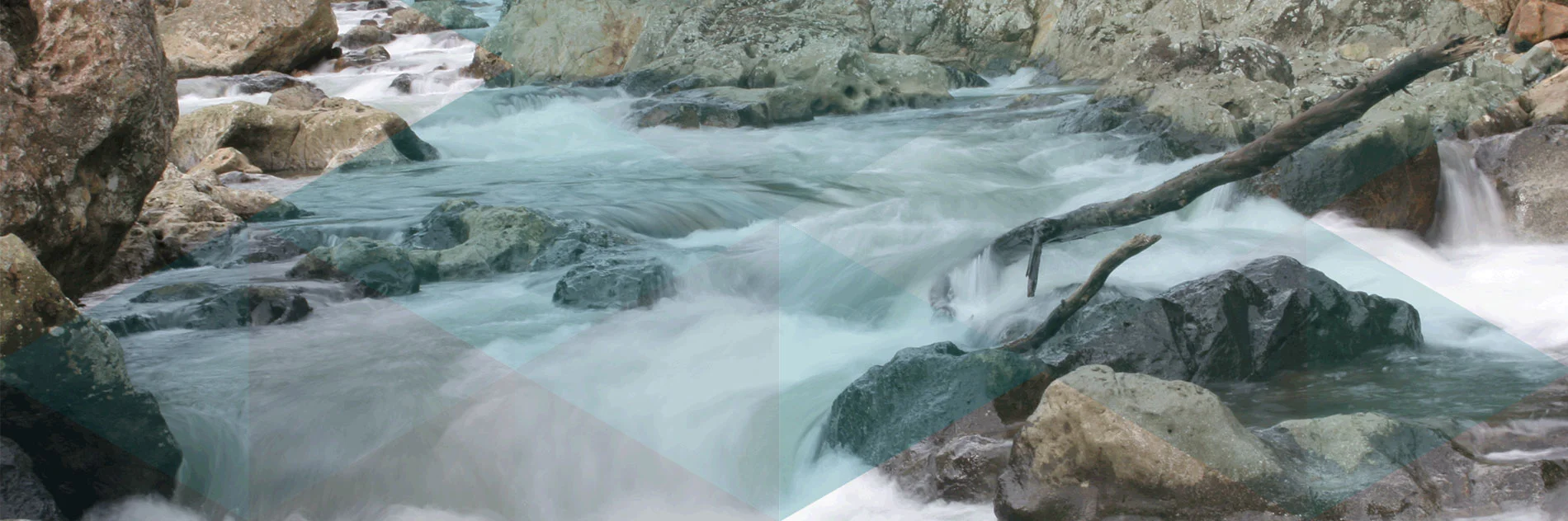  Pollution control solutions for tough environmental and corrosion resistant applications.   Our Services  