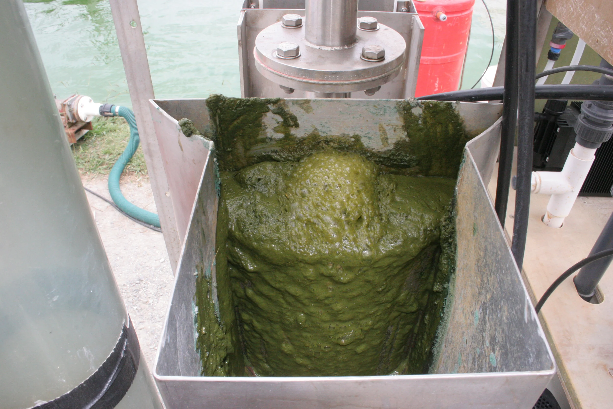 28 Wellsford FerricSludge copy.jpg