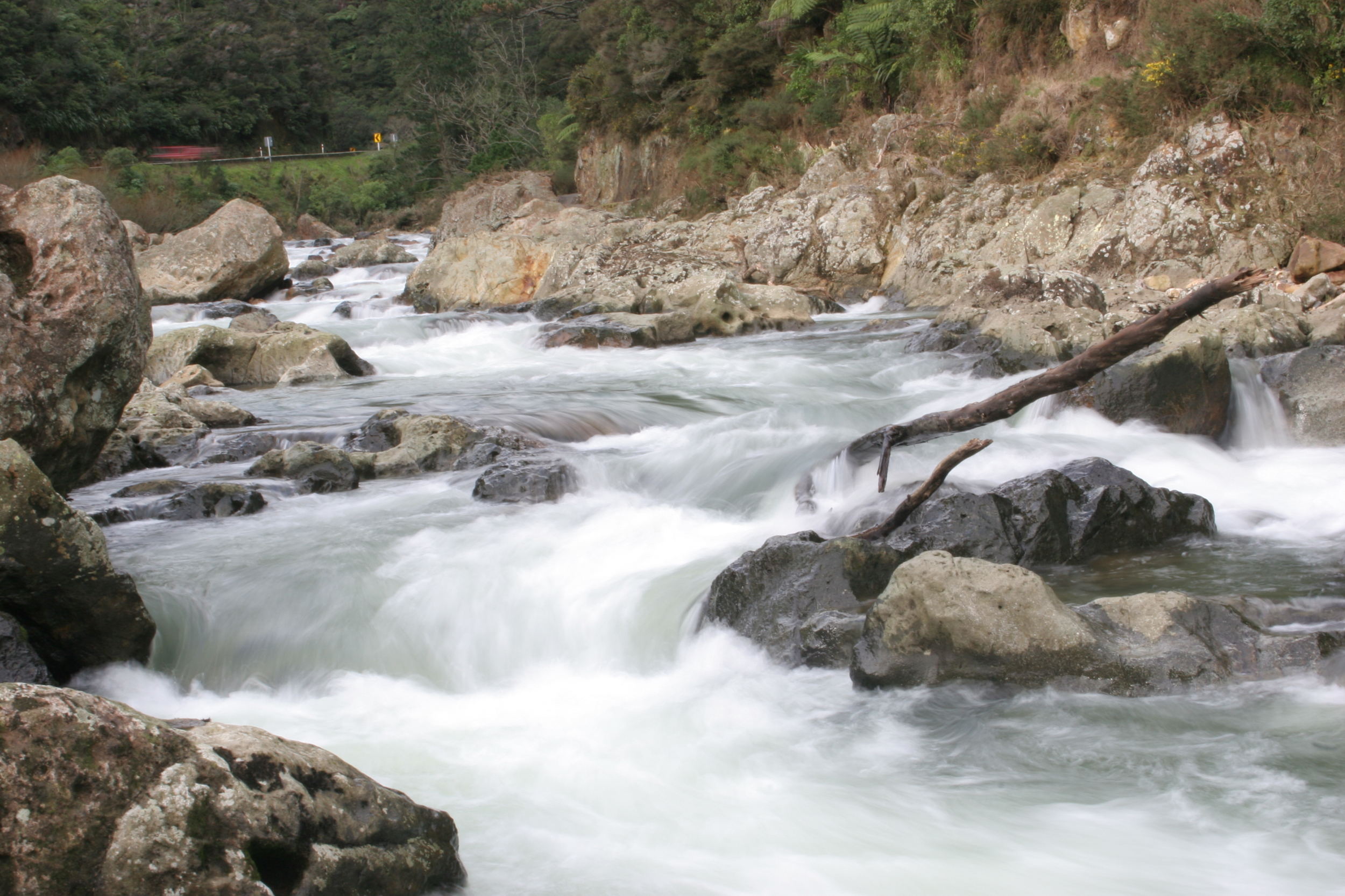 11 Waihi KGorge4 Blur copy.JPG