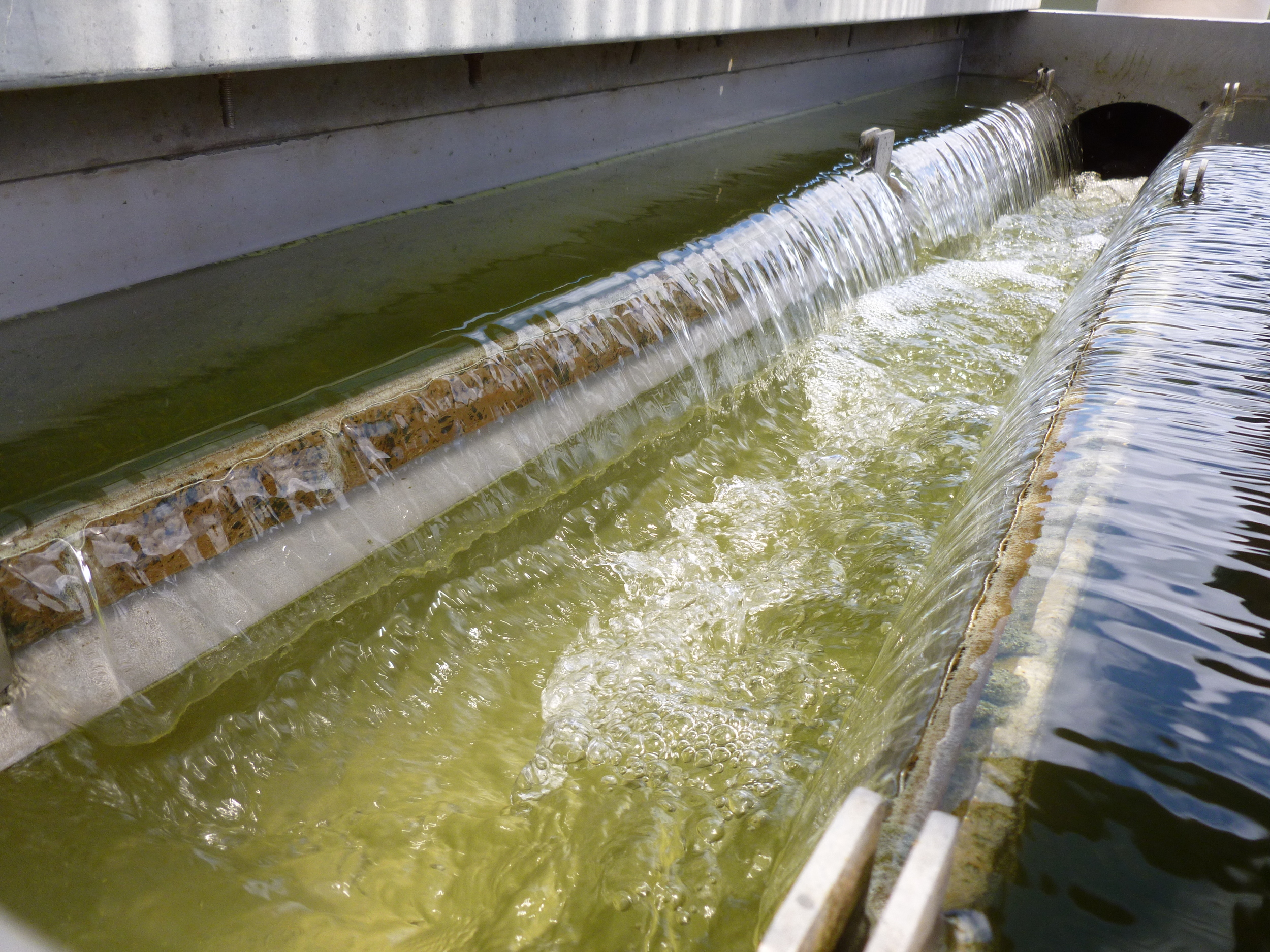 10 WaihiCleanWater copy.JPG