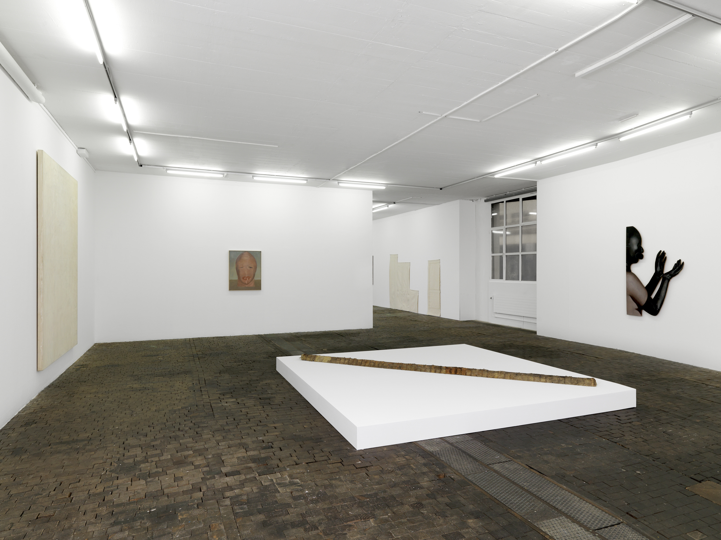 Centre d'Art Contemporain, Geneva - Robert Overby - 2014