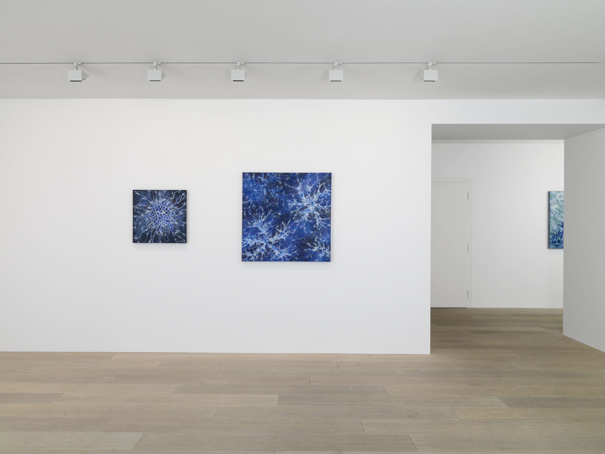 Gagosian Gallery, Geneva - Alberto Di Fabio - 2014