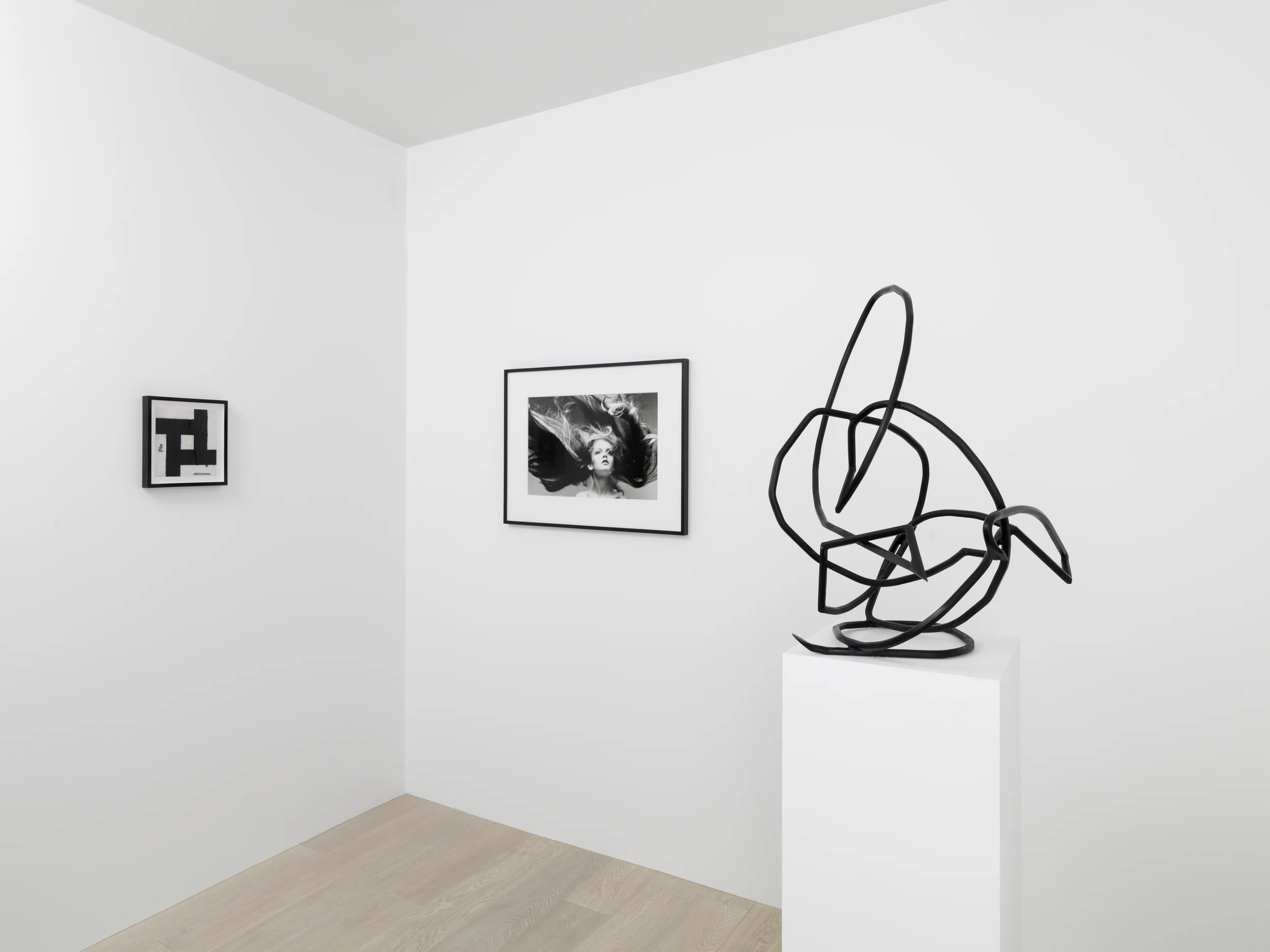 Gagosian Gallery, Geneva - Alberto Di Fabio - 2014
