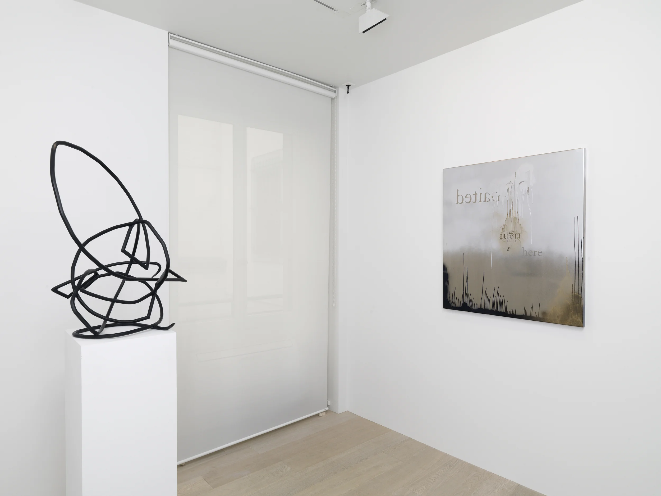 Gagosian Gallery, Geneva - Alberto Di Fabio - 2014