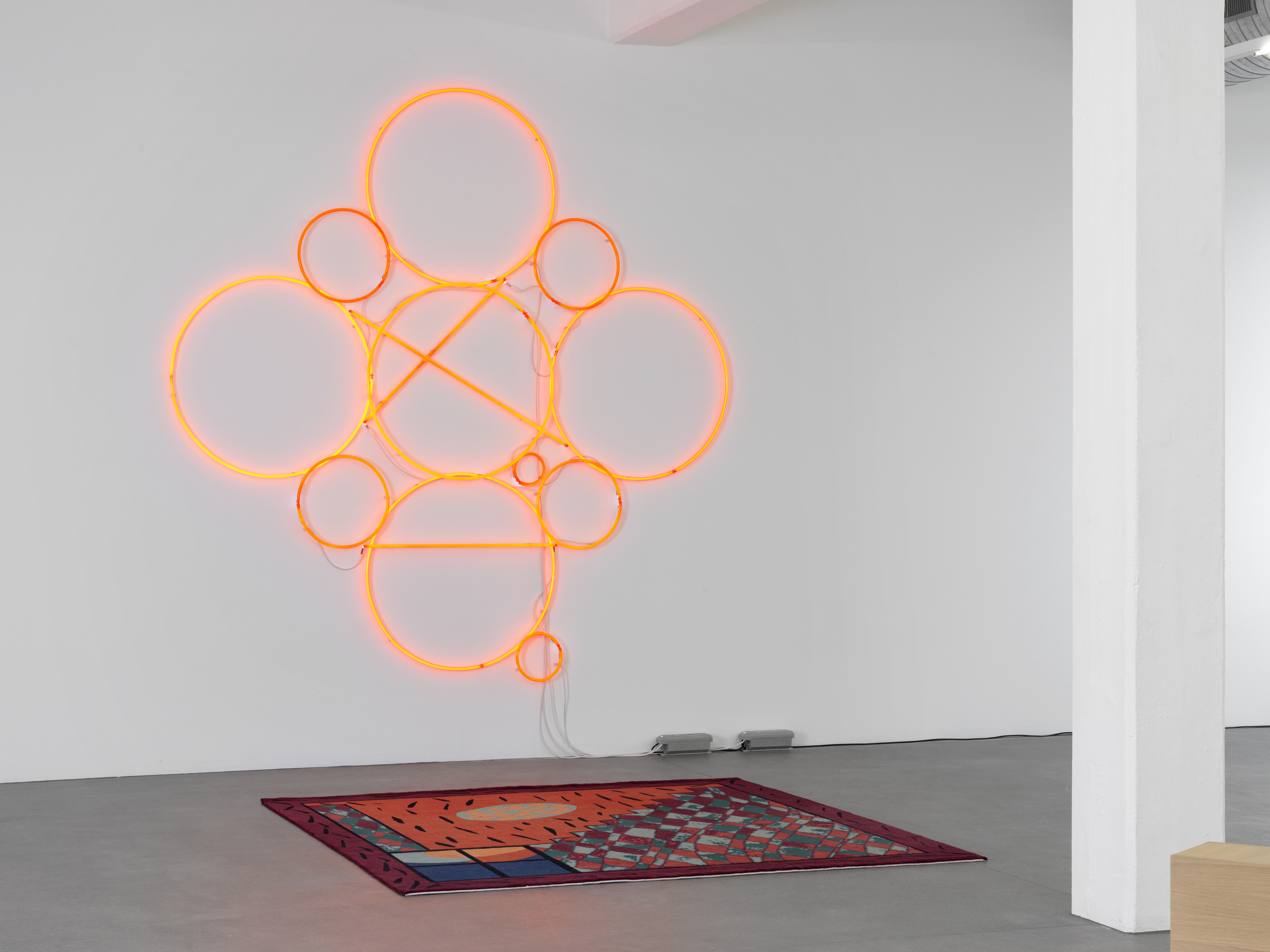 Fondation Speerstra, Apples - Martine Bedin & Mai-Thu Perret - 2014