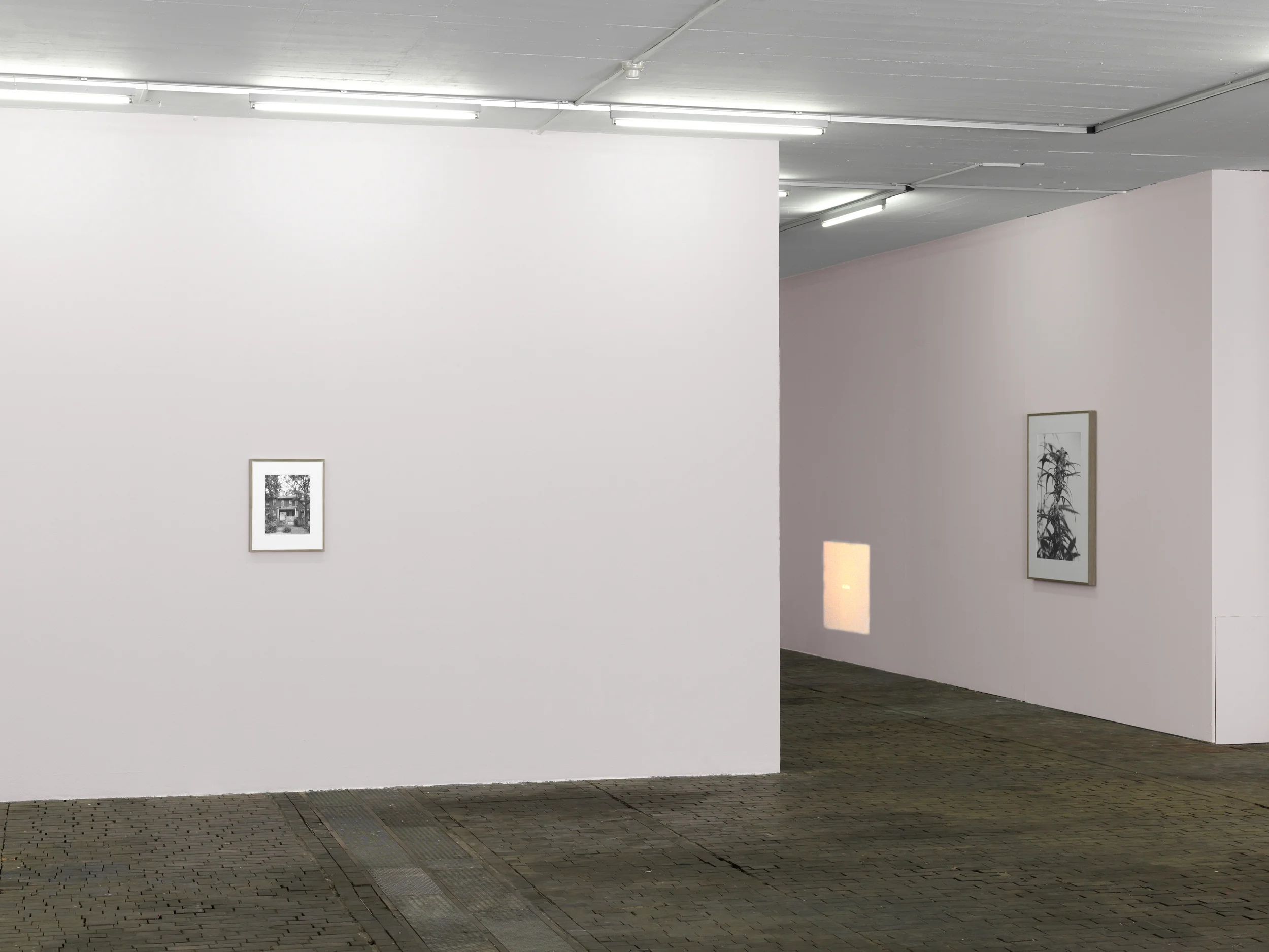 Centre d'Art Contemporain, Geneva - Joachim Koester - 2014