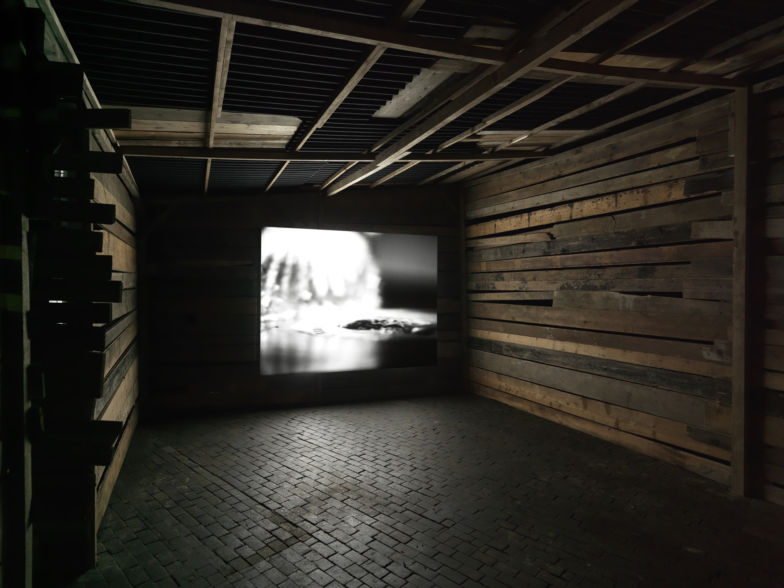 Centre d'Art Contemporain, Geneva - Joachim Koester - 2014