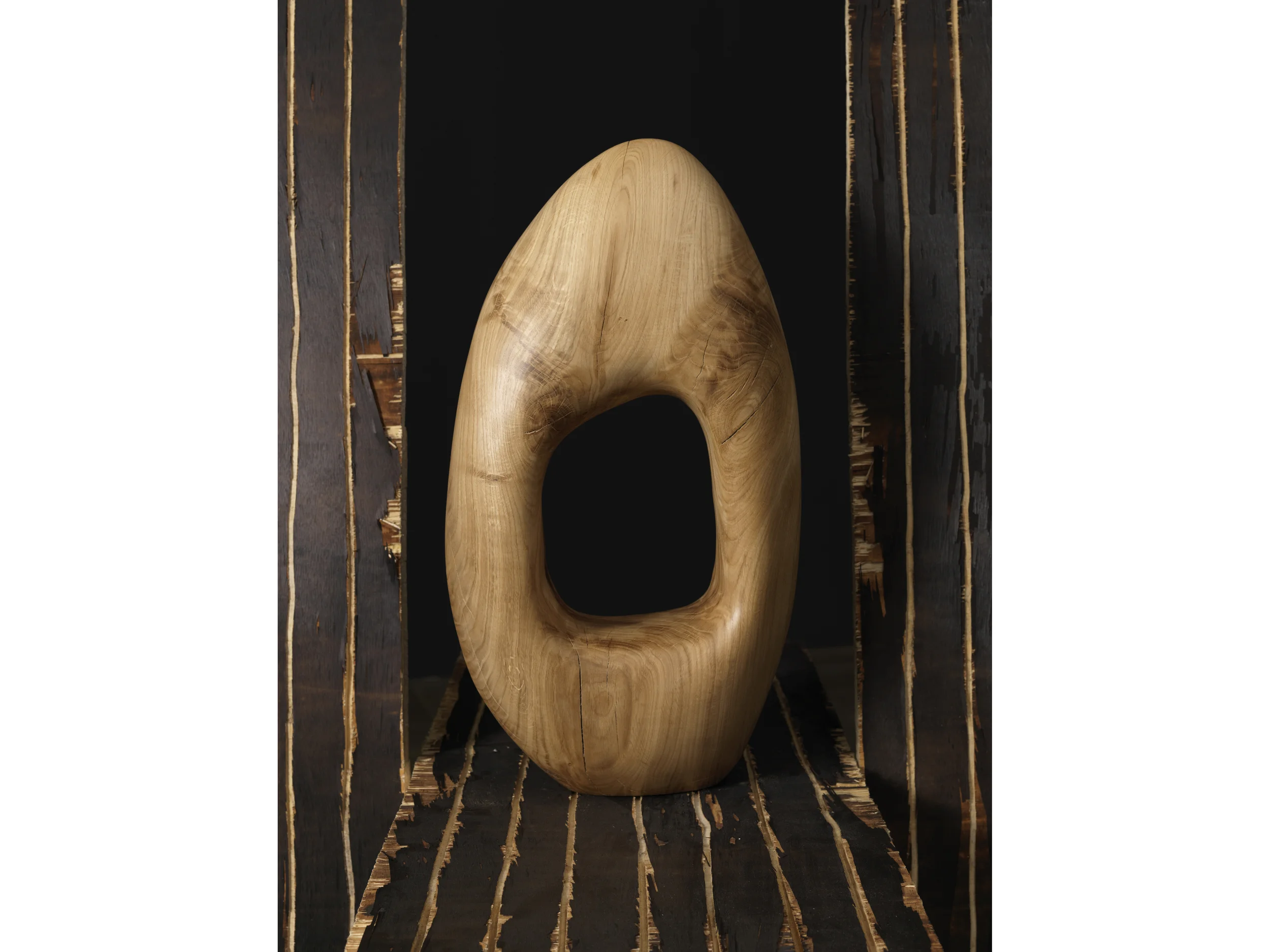 Pasquart, Bienne | Claudia Comte | 2013
