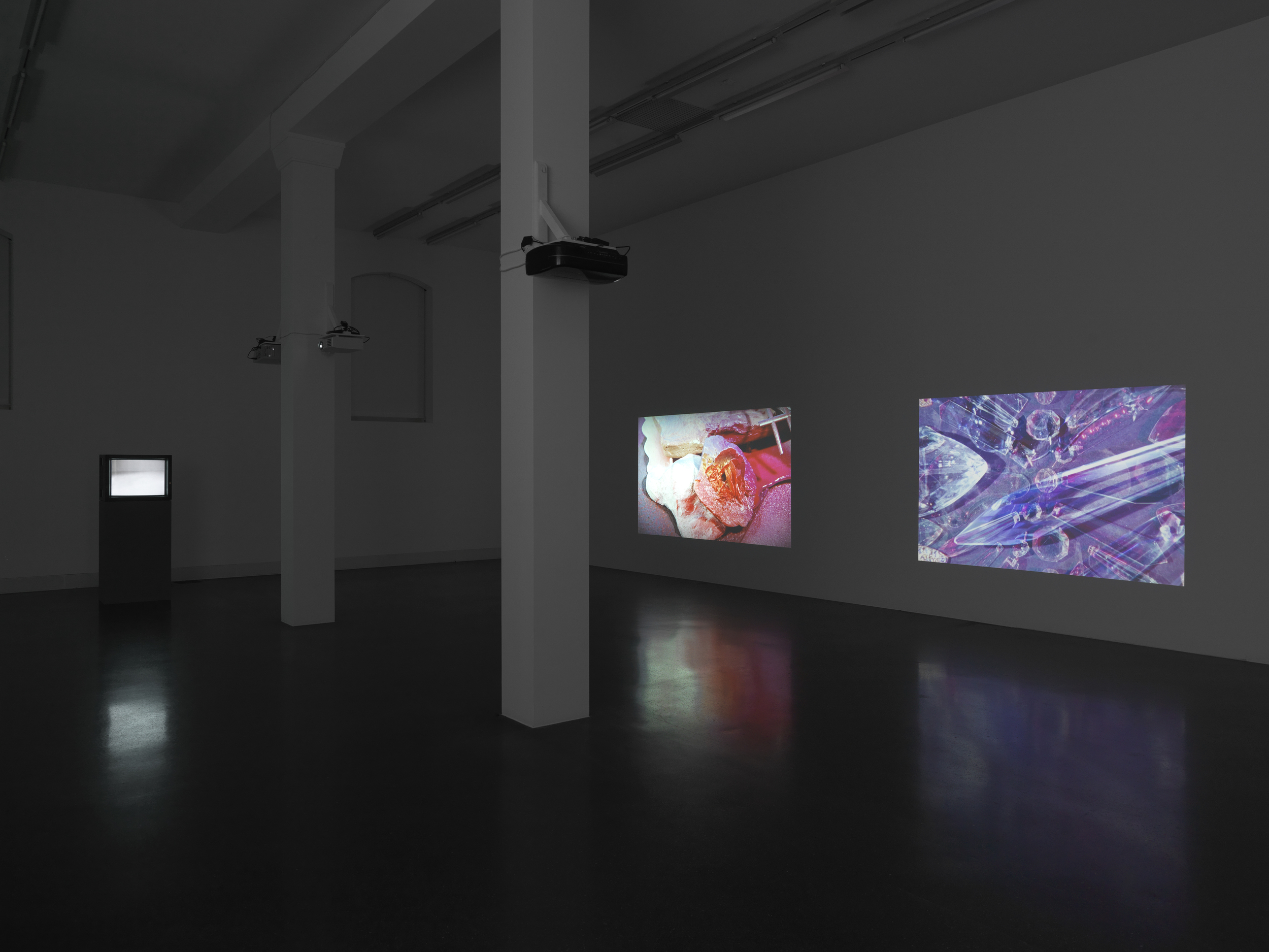 Galerie Francesca Pia, Zurich | Isabelle Cornaro | 2014