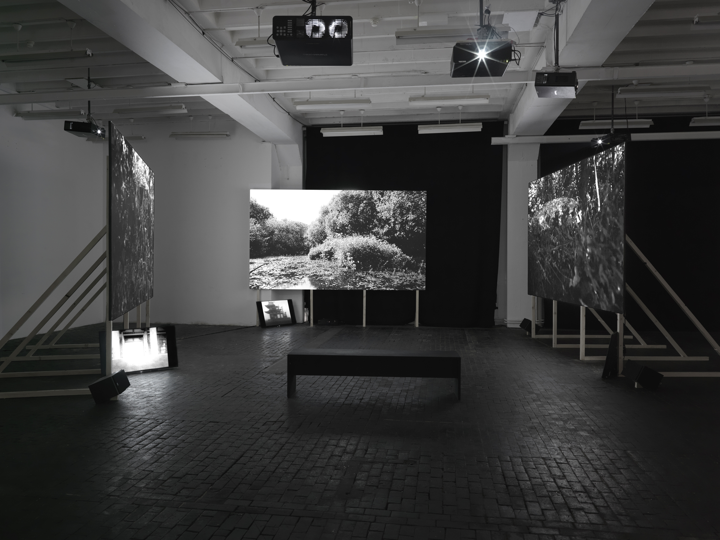 Biennale de l'Image en Mouvement, Geneva | Andrea Bellini - Hans Ulrich Obrist - Yann Chateigné | 2014