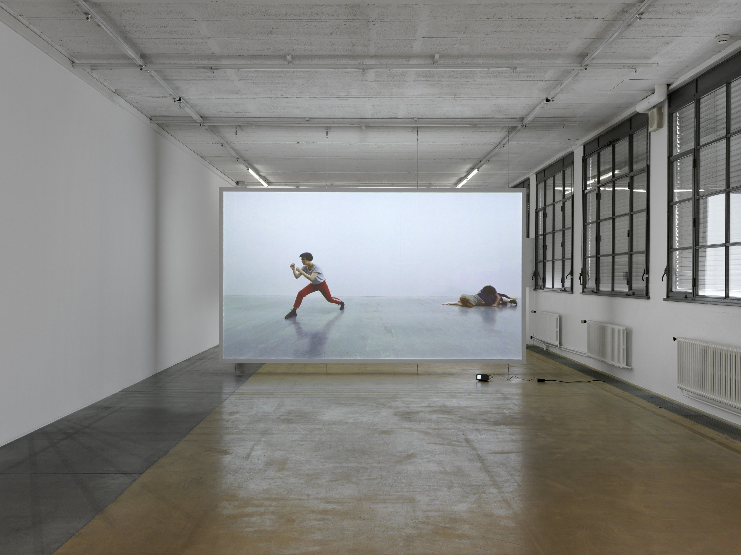 Centre d'Art Contemporain, Geneva | Biennale de l'Image en Mouvement | 2016