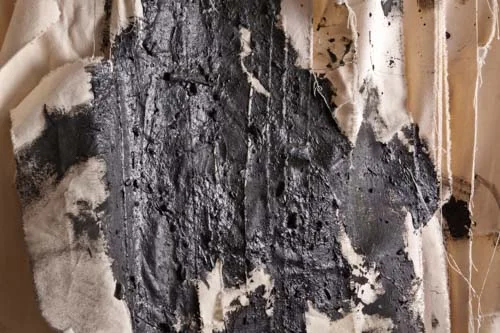 Melancholia - detail