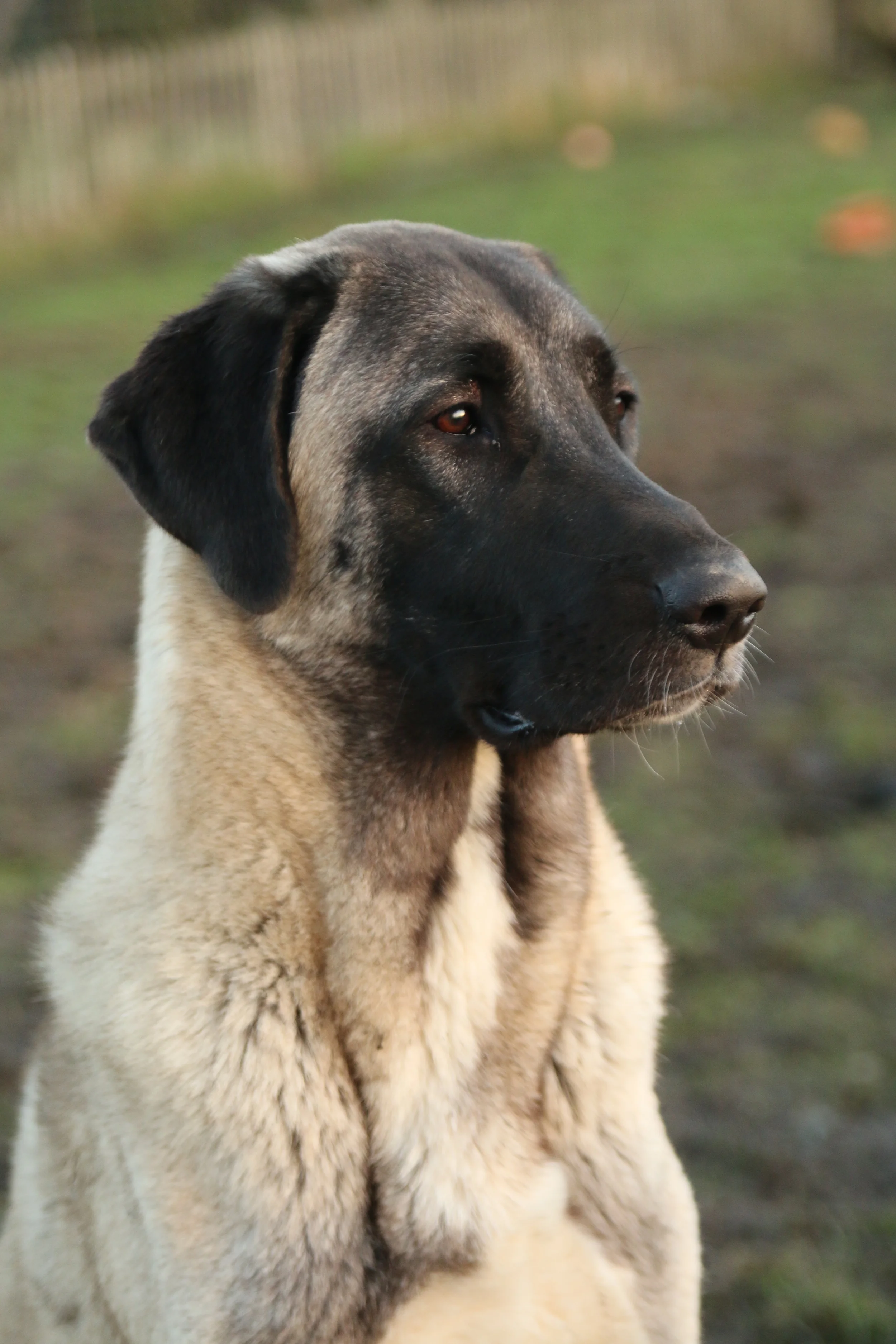 Photo Credit:&nbsp;ms.akr