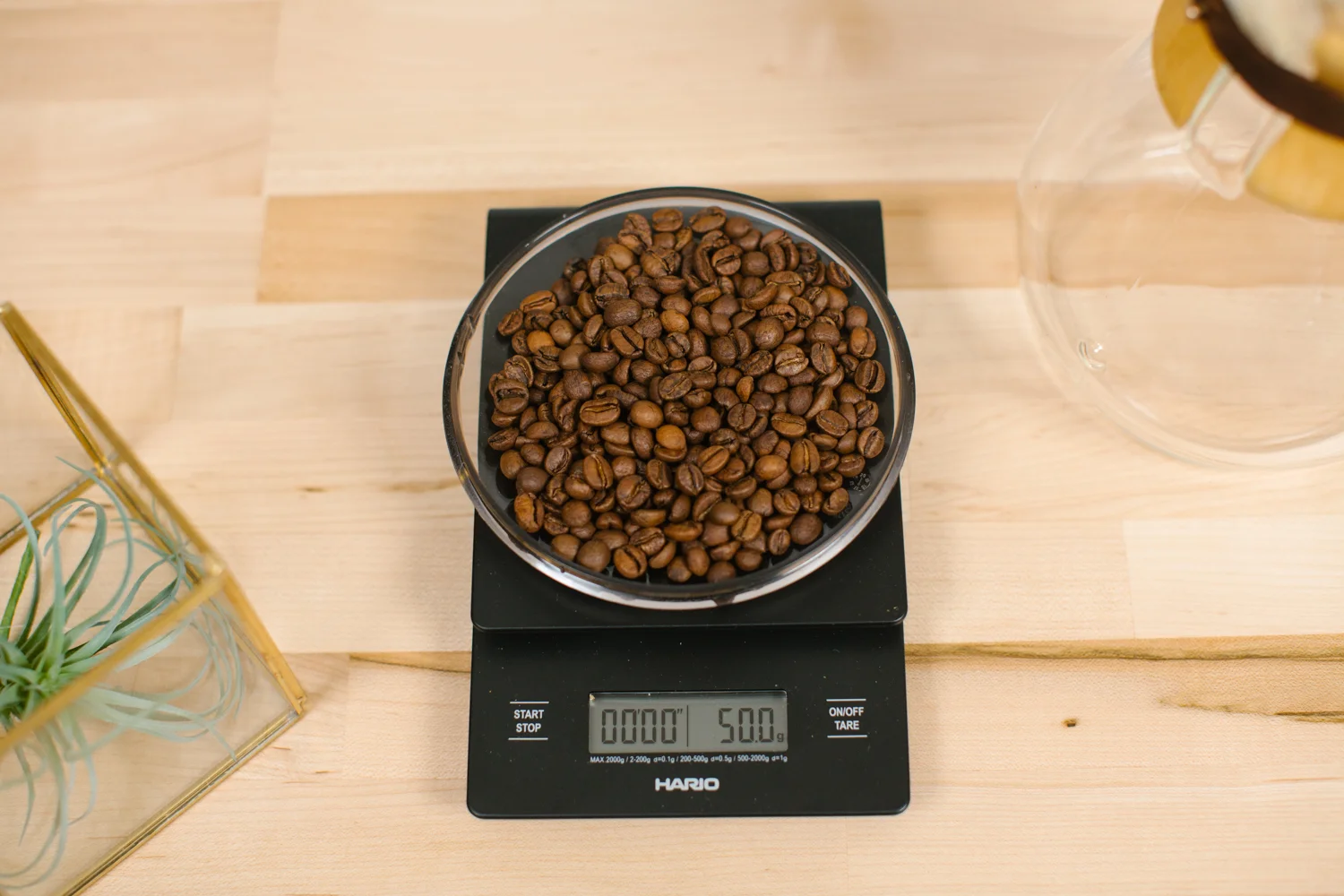 How to Brew Coffee with a Chemex — Backyard Beans Coffee Co.