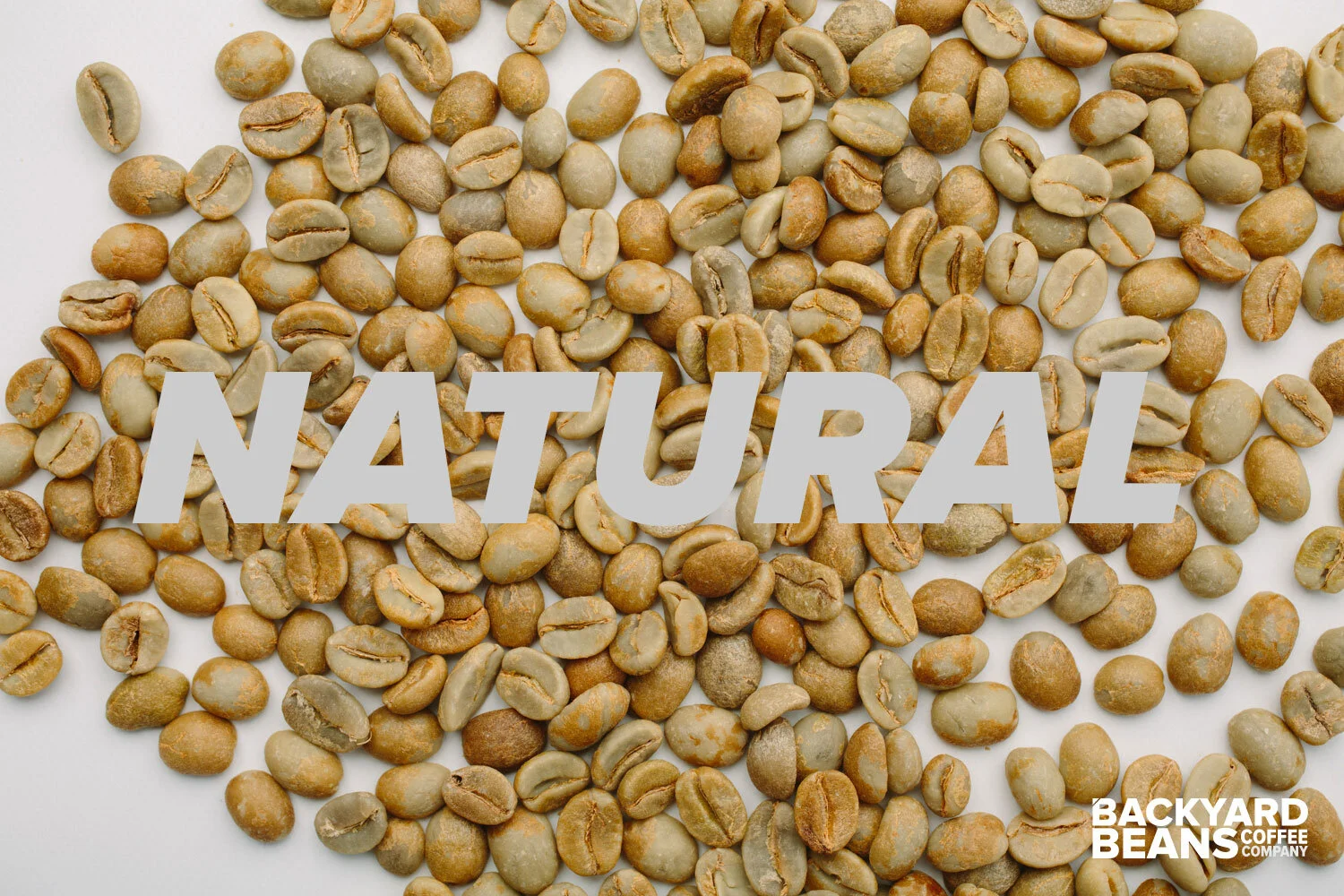 Coffee Washed vs. Natural Process — Backyard Beans Coffee Co.