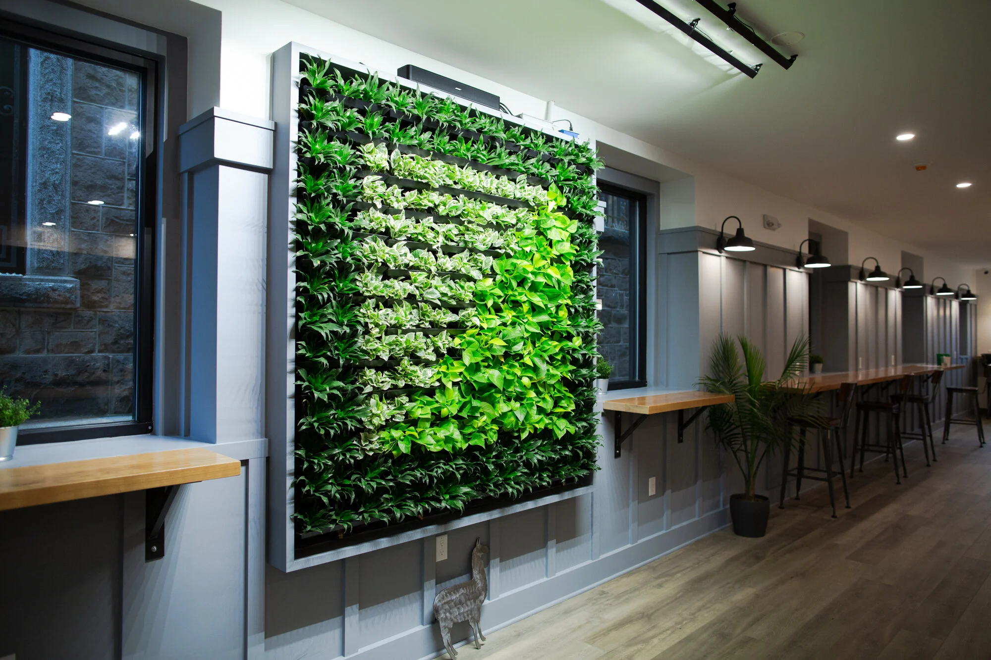 Image of Backyard Beans Ambler Cafe Plant Wall
