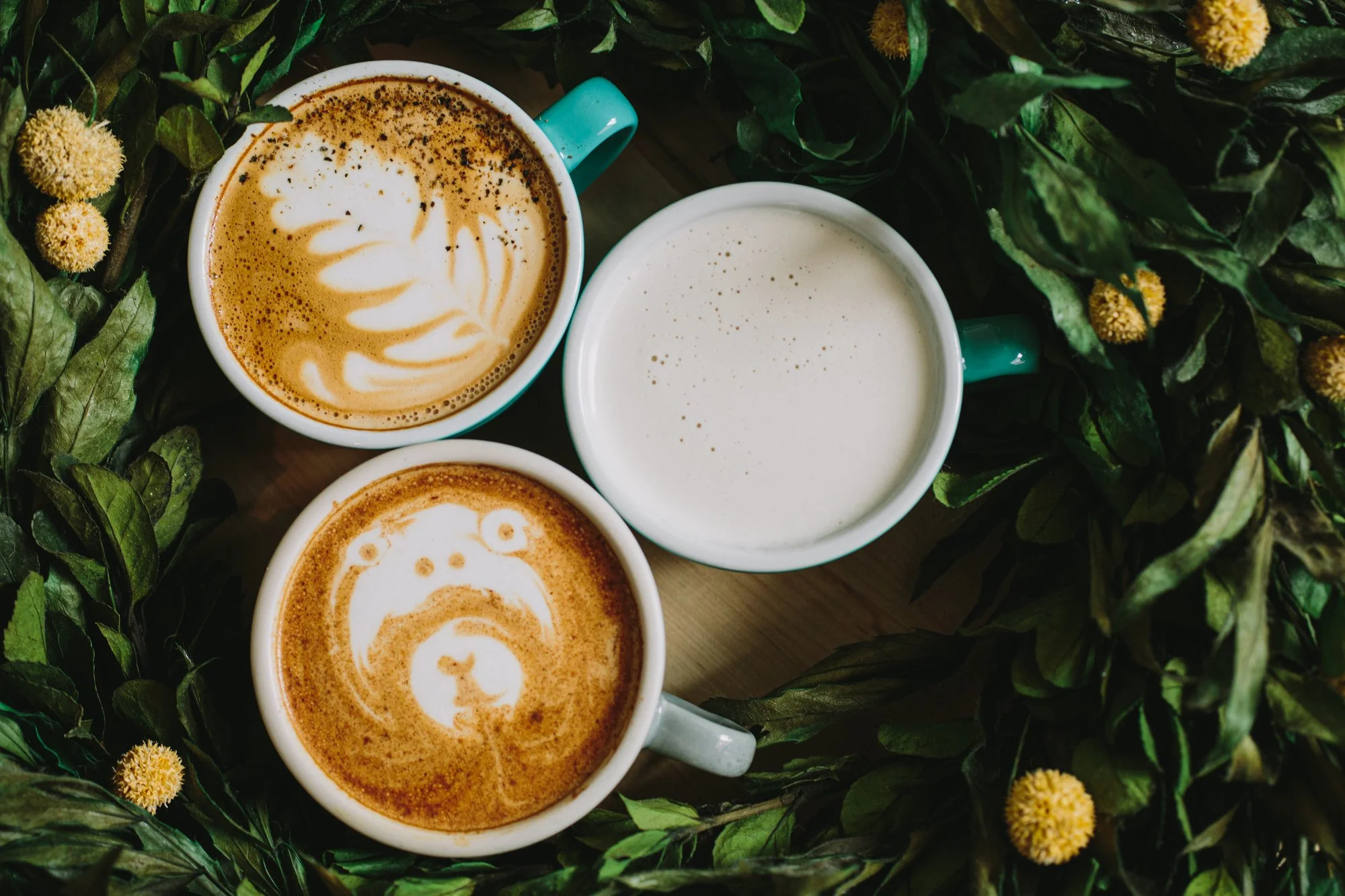 Backyard Beans Coffee Co.